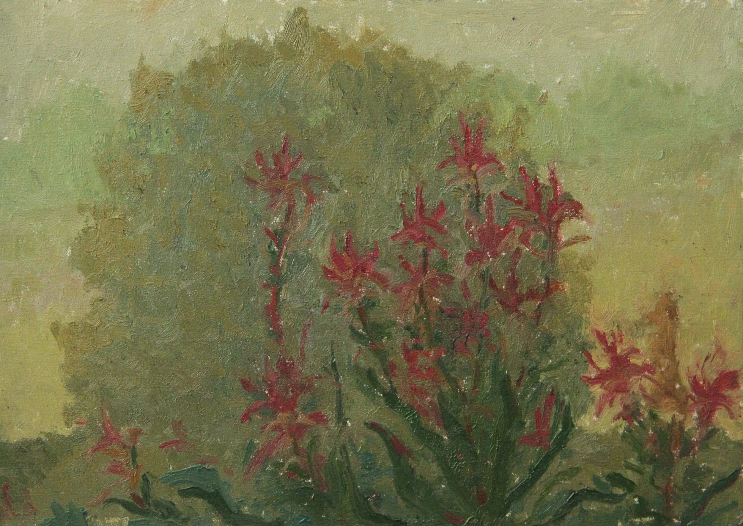 Landscapes