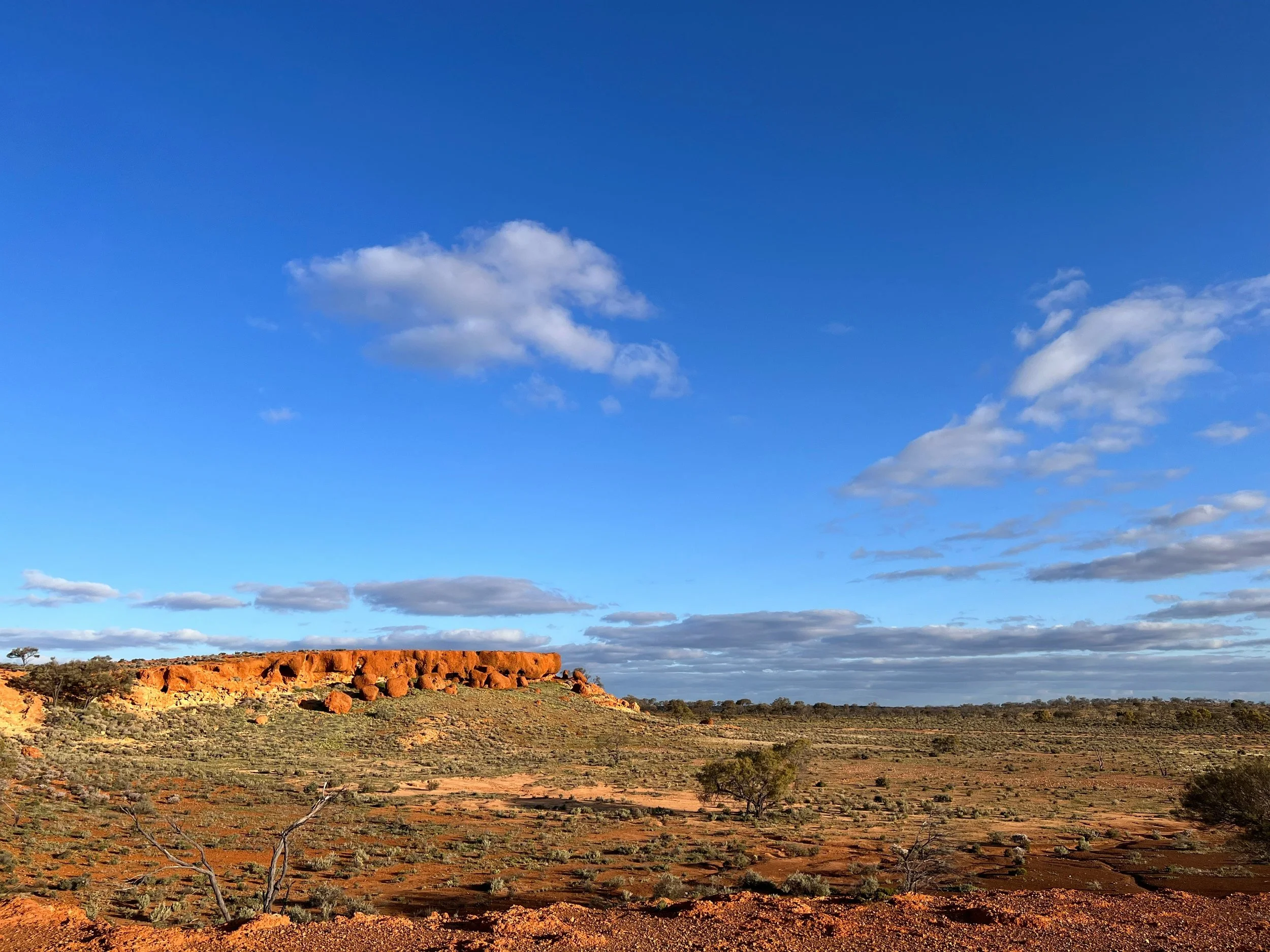 DRAFT GUIDELINES FOR PETROLEUM LEGISLATION