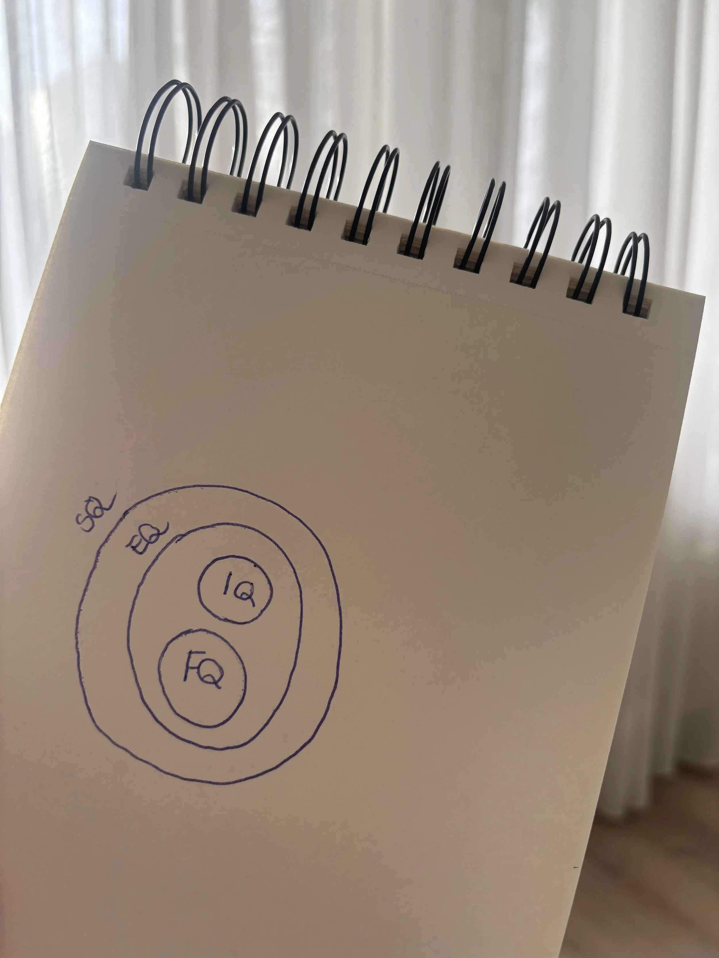 Vier vormen van intelligentie: de 4 Q’s