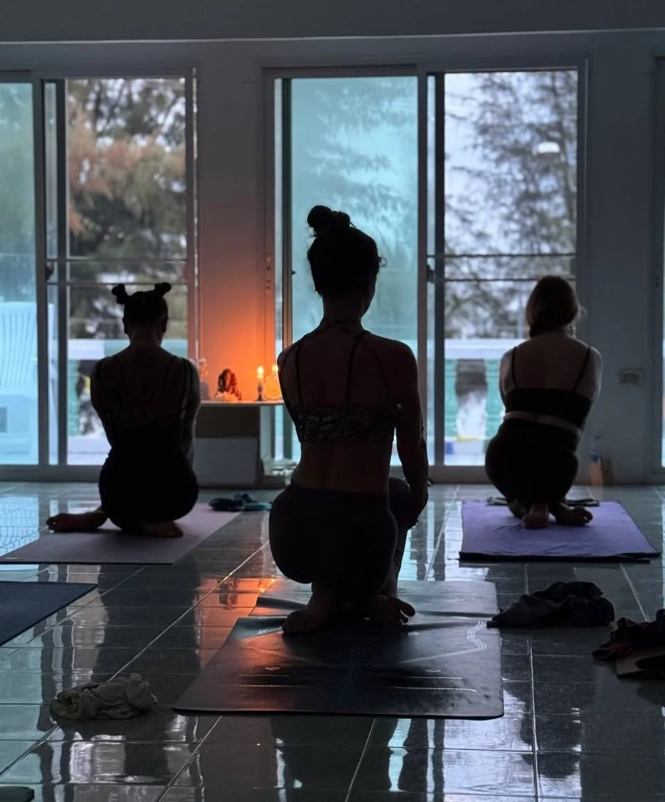 Thailand - January 2026

Sharing

the space, thoughts, support, trust, hugs, time, ideas, laughters, silence, peace, presence, care, joy, tears, cultures, compassion, openness

1.33 maitrī karuṇā muditā upekṣāṇāṁ sukha duḥkha puṇya apuṇya viṣayāṇāṁ b