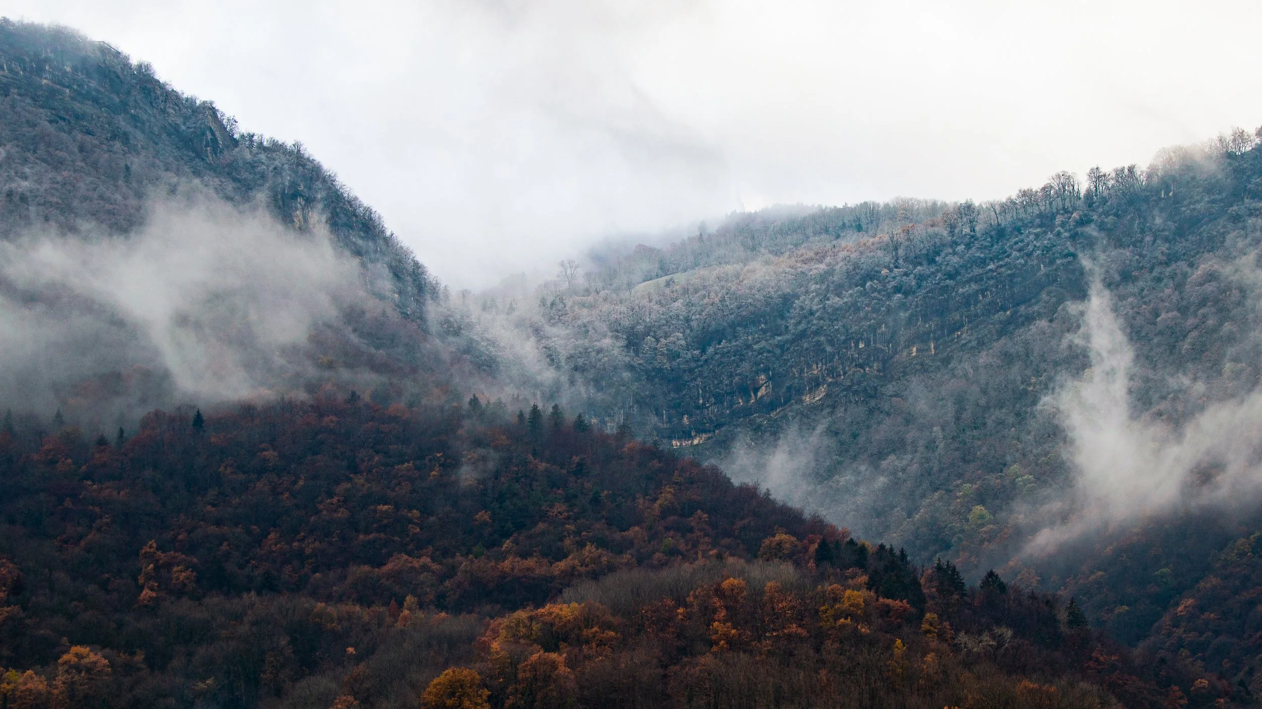 _DSC0005.jpg