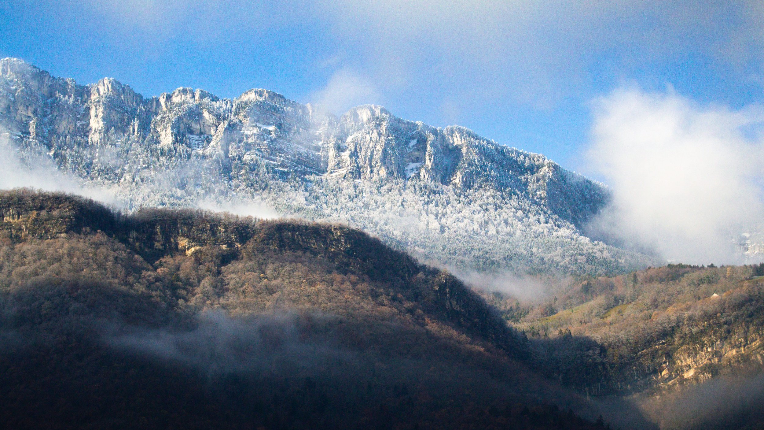 _DSC0039.jpg