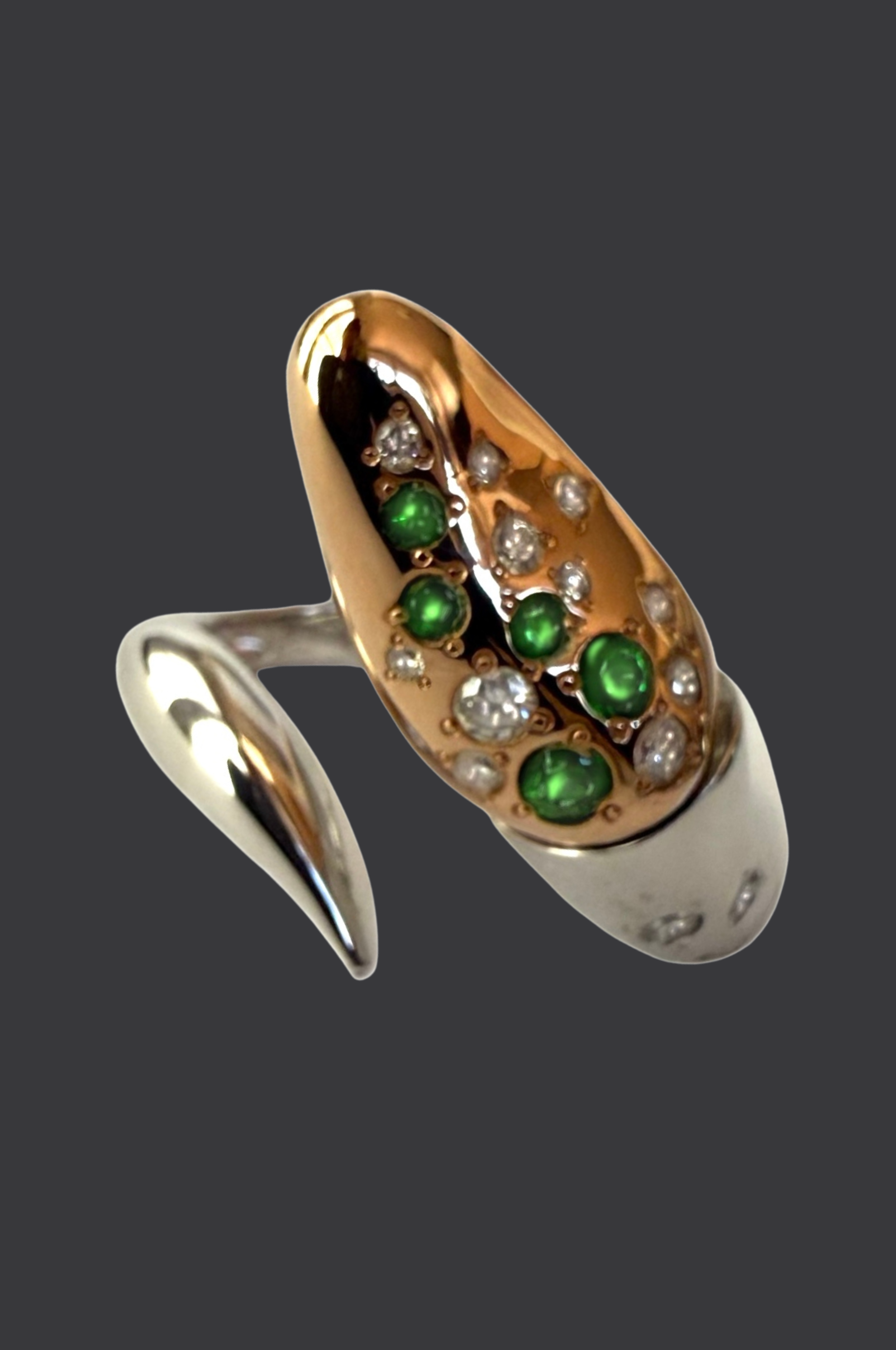 Bague détourée.png
