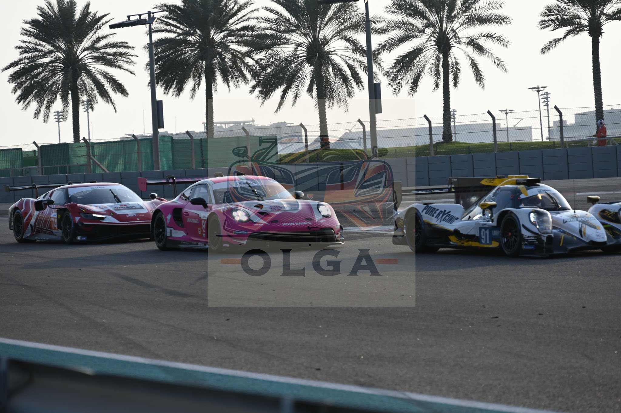 DSC_4355.jpg