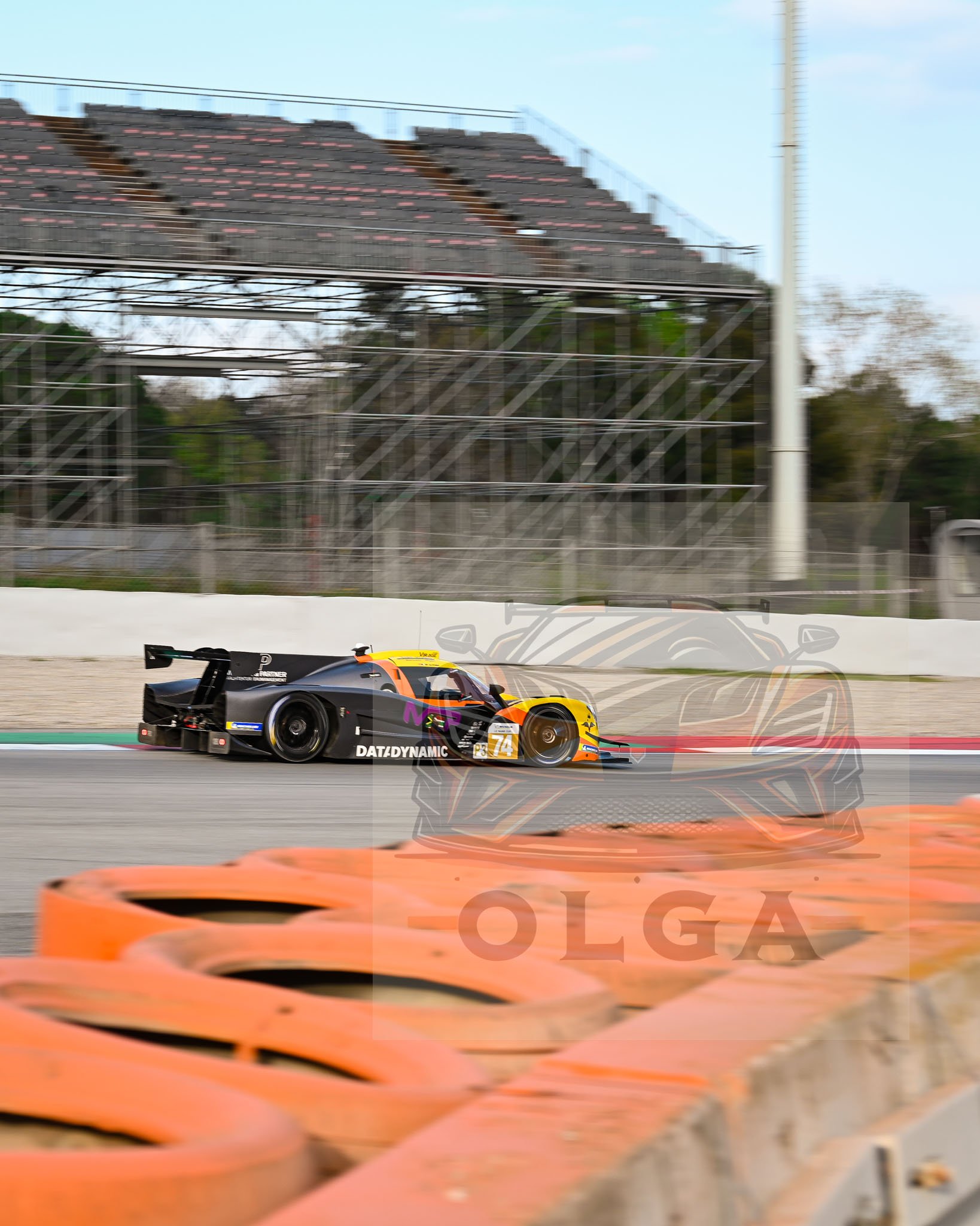 DSC_6753.jpg