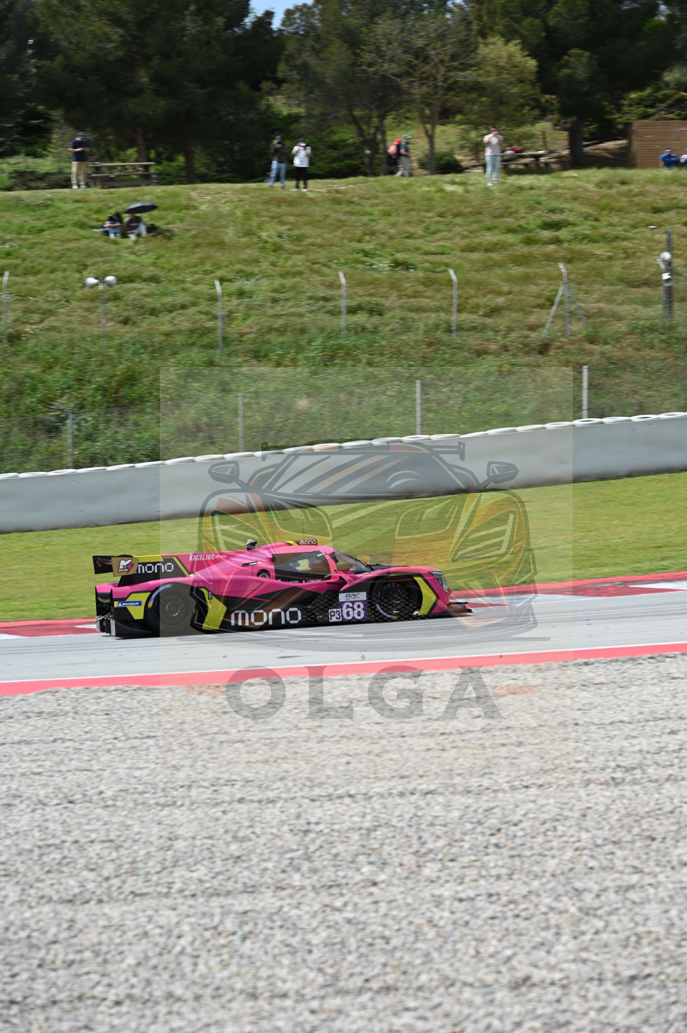 DSC_7954.jpg