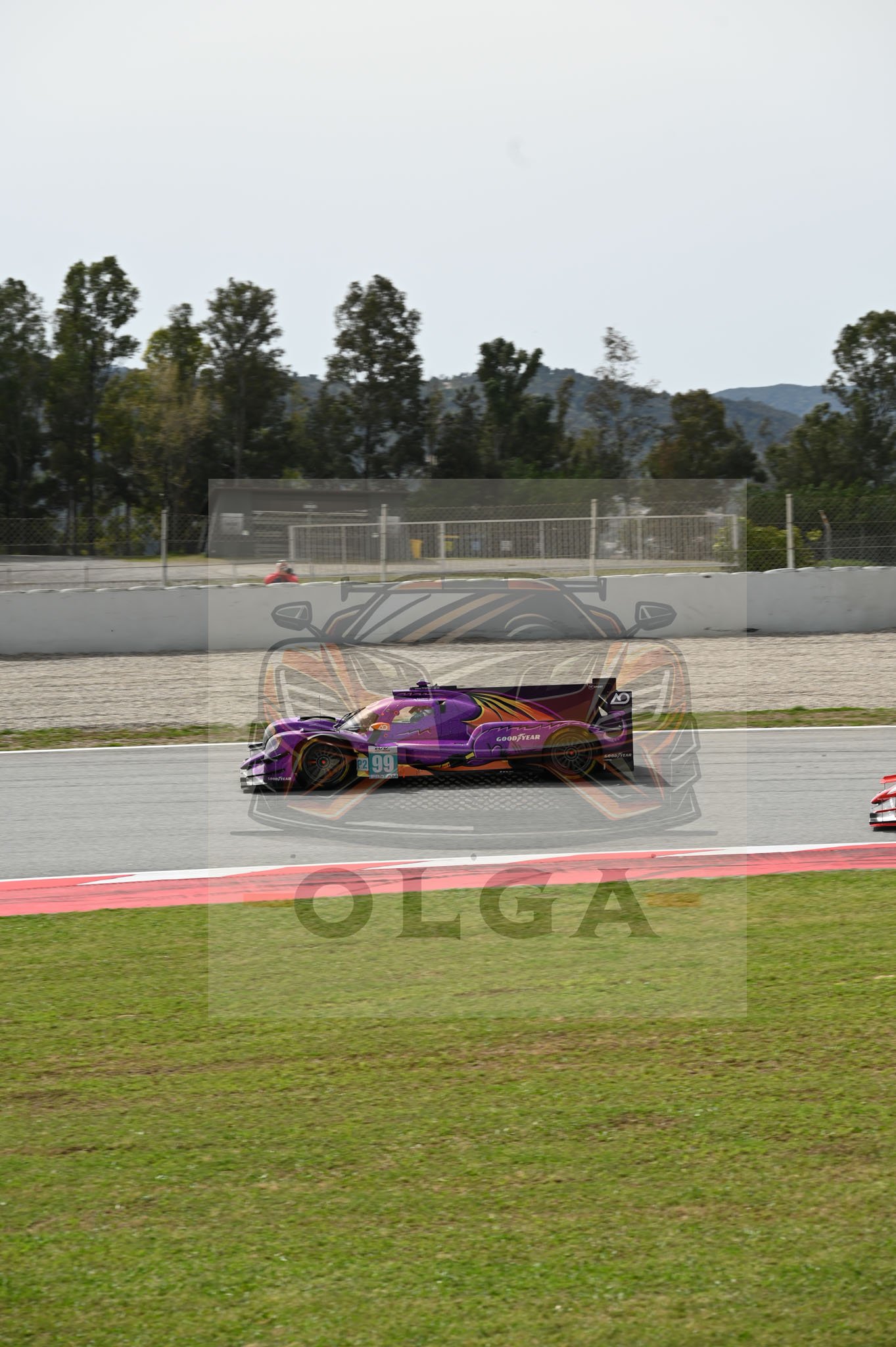 DSC_6145.jpg
