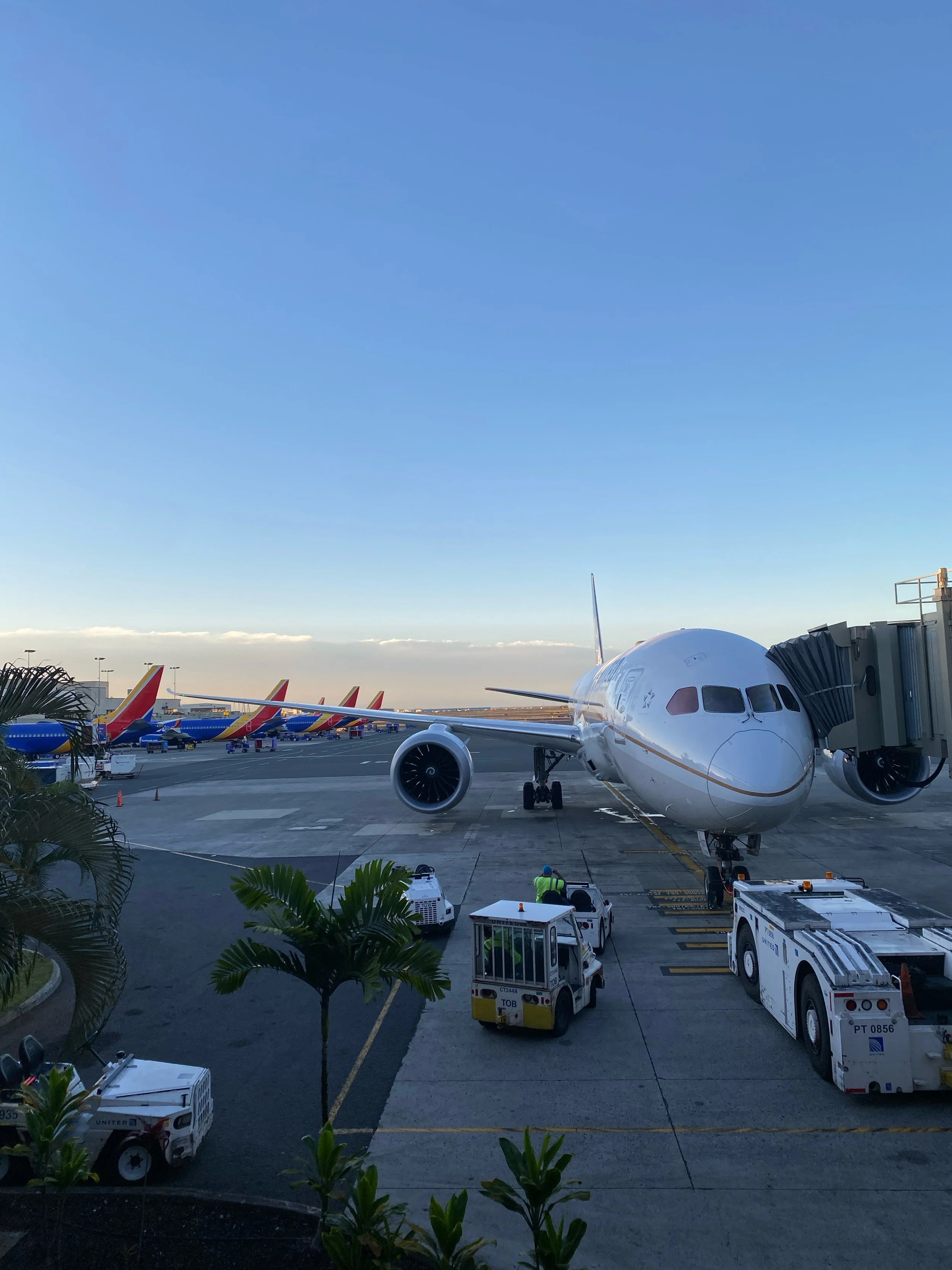 IMG_0832_Original 2.JPG