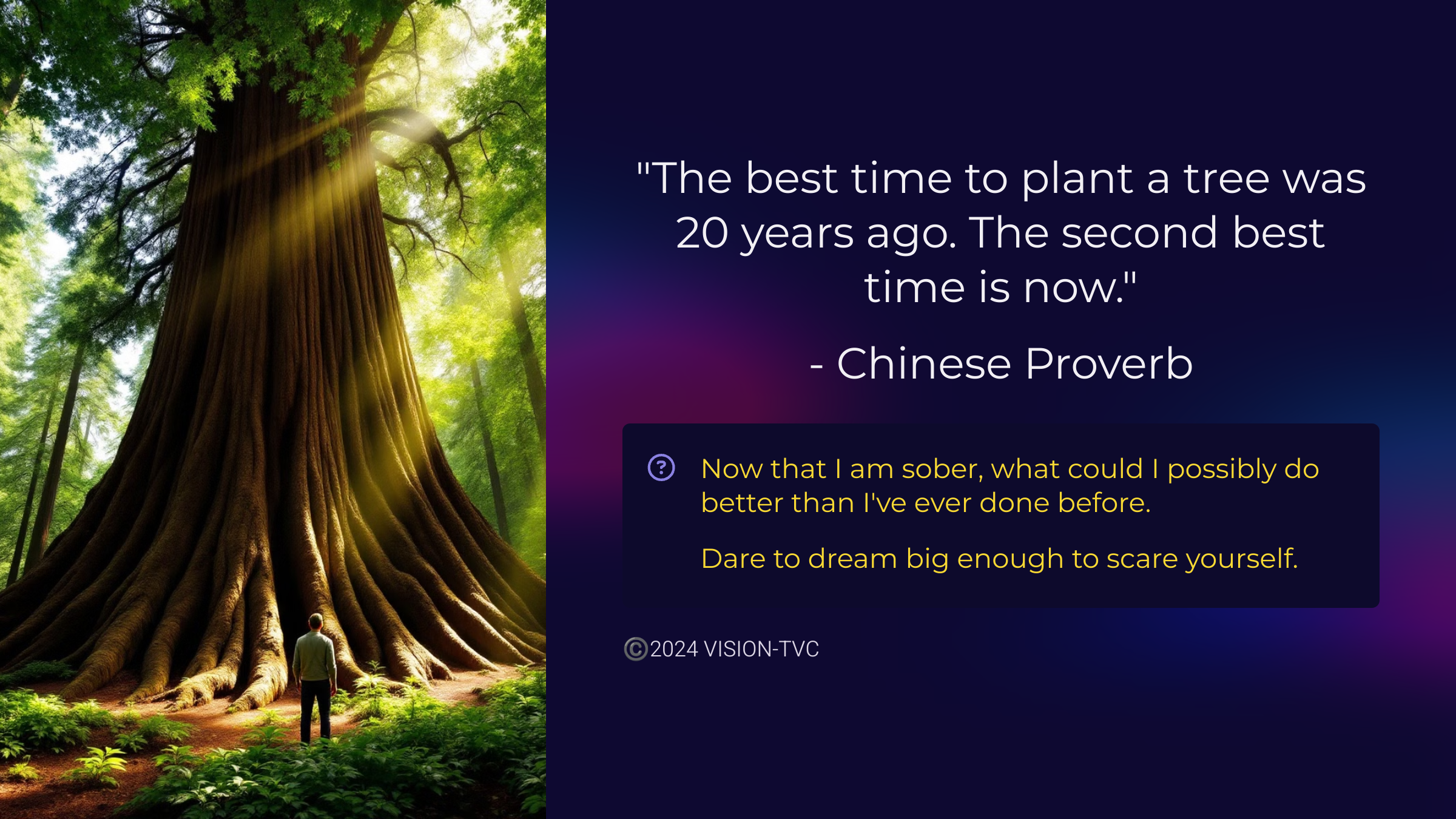 29_The-best-time-to-plant-a-tree-was-20-years-ago-The-second-best-time-is-now.png