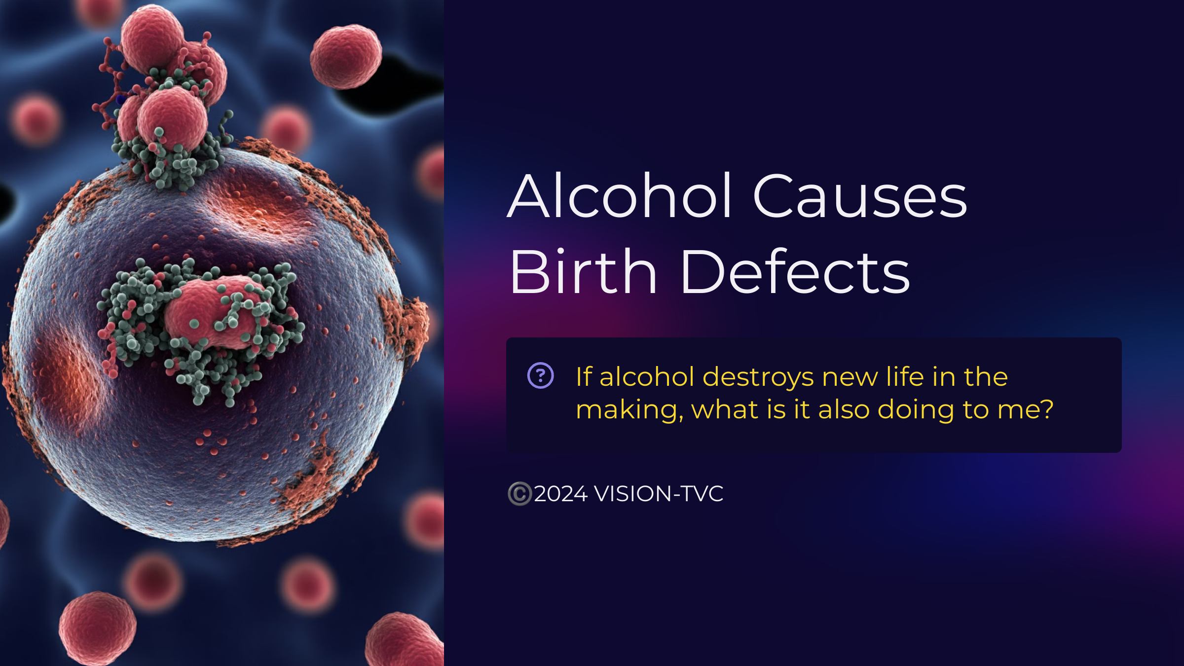 18_Alcohol-Causes-Birth-Defects.png
