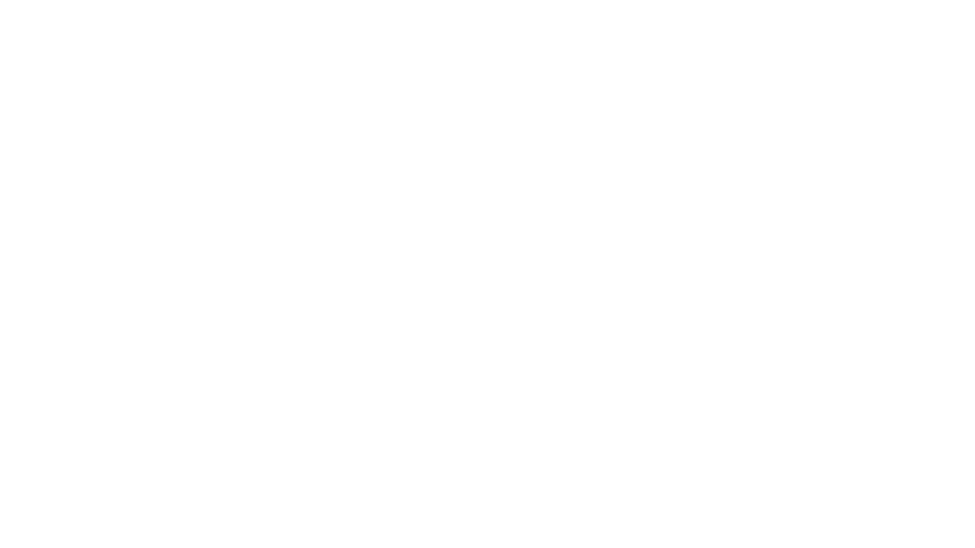 Evo.png