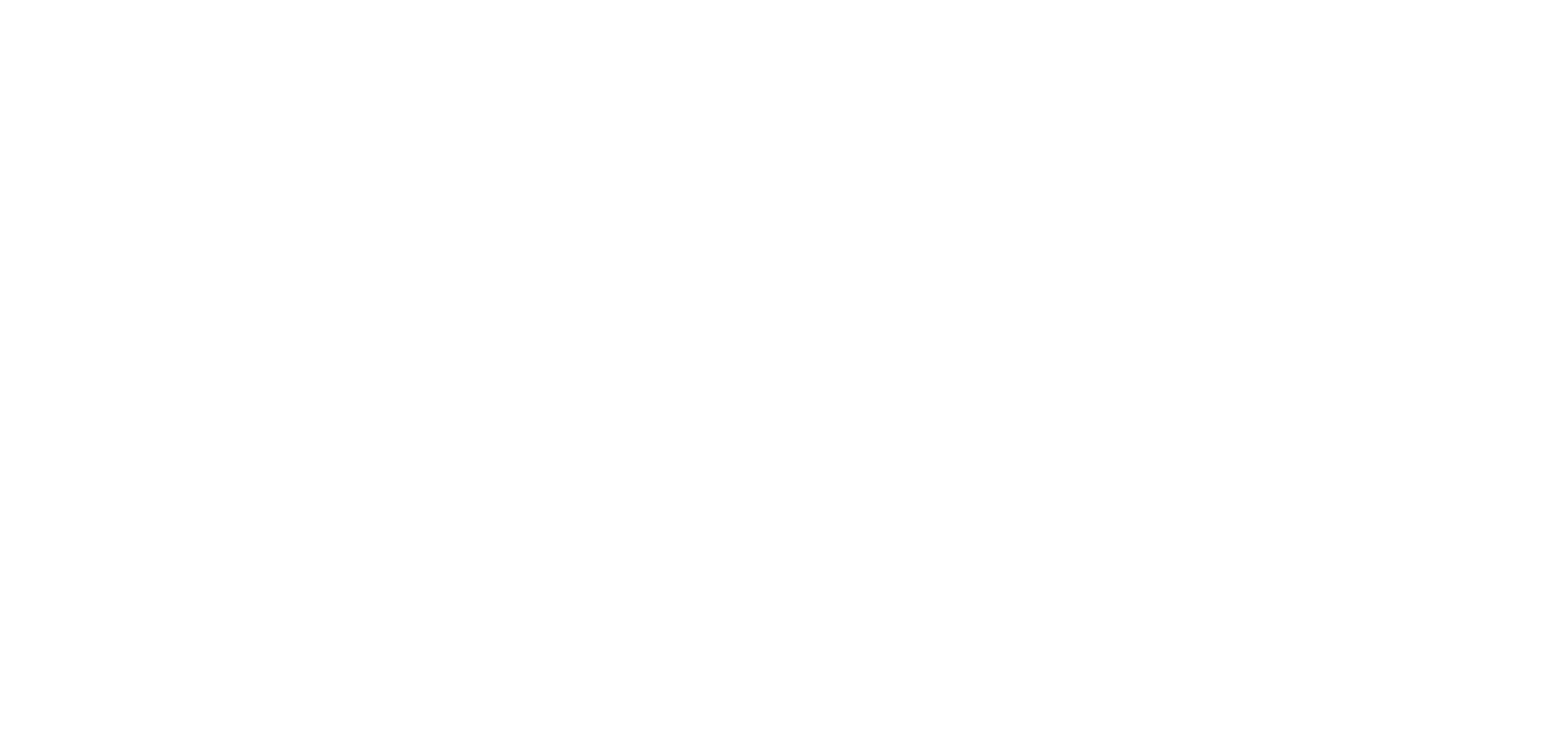 sno_logo_hvit_hvit_rgb.png