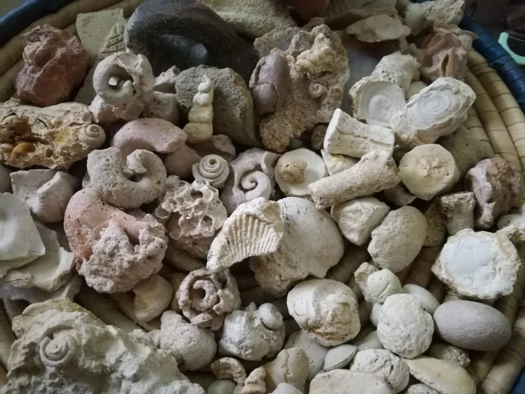 WhatsApp Image 2025-05-08 at 2.39.27 PM.jpeg