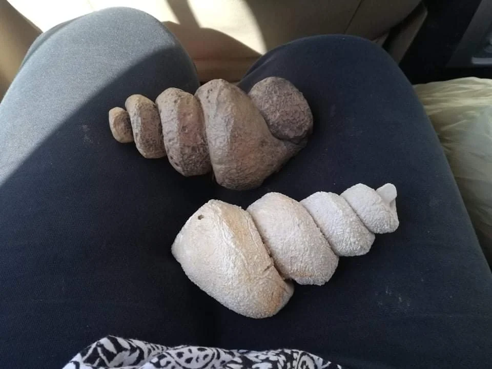 WhatsApp Image 2025-05-08 at 2.39.27 PM (2).jpeg