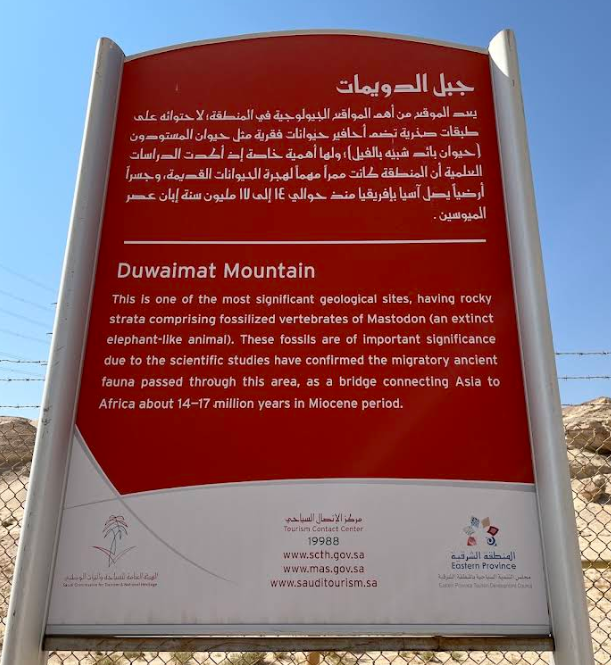 Duwaimat Mountain Mastodon bones.png