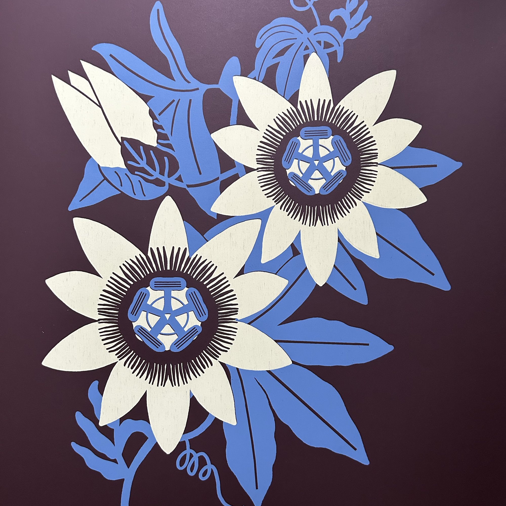 passiflora6.jpg