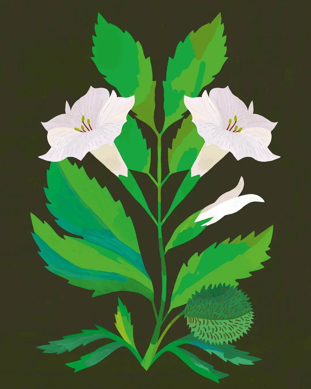 Cartoline cattive3.jpg