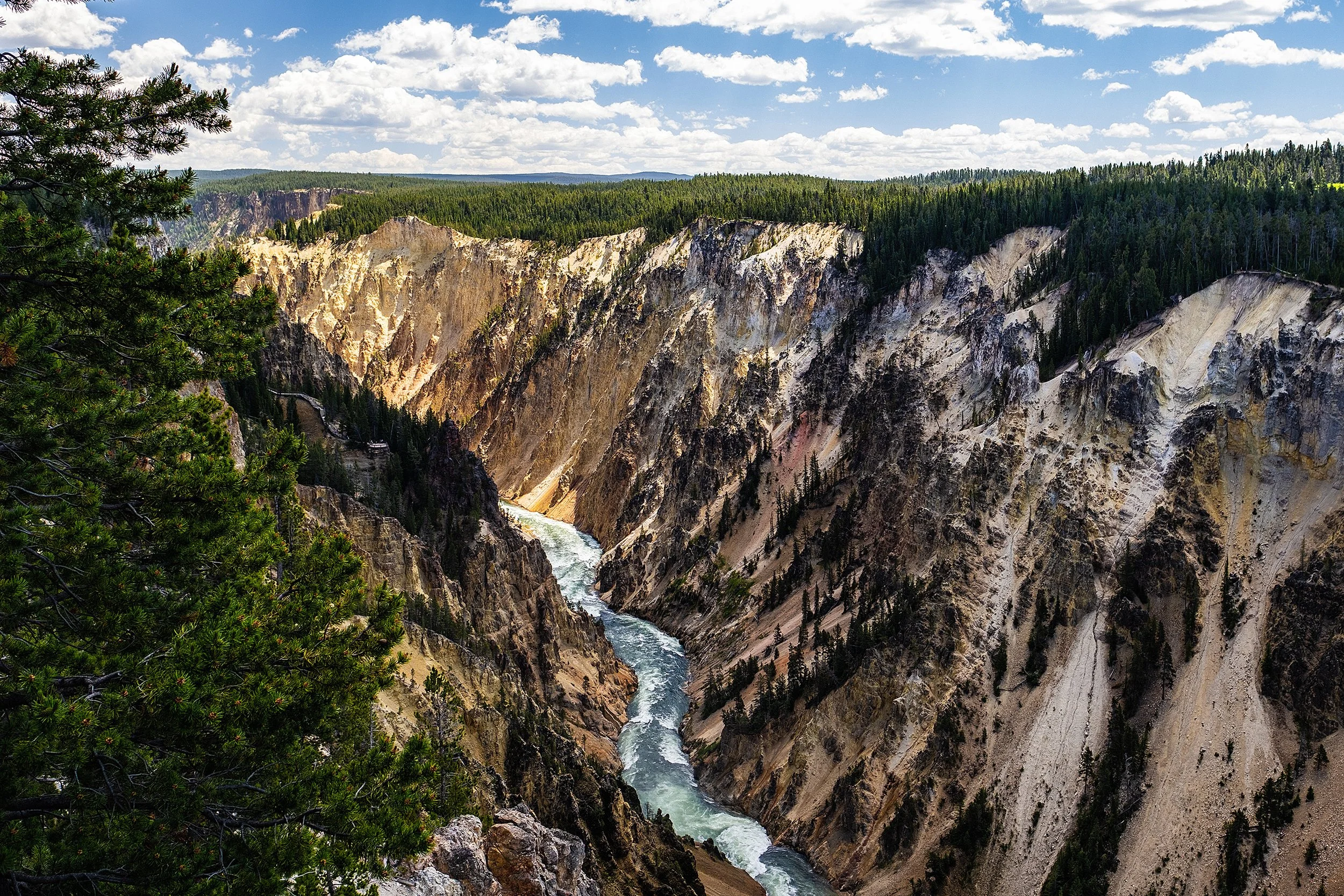 Yellowstonw_July2023-73.jpg