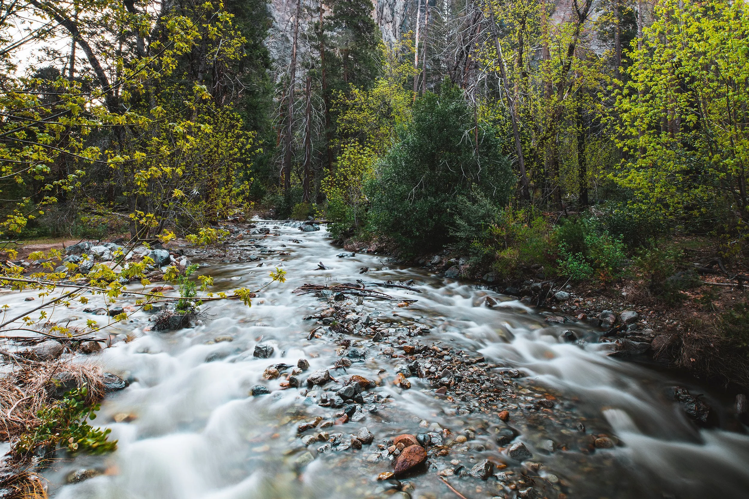 Yosemite-53.jpg