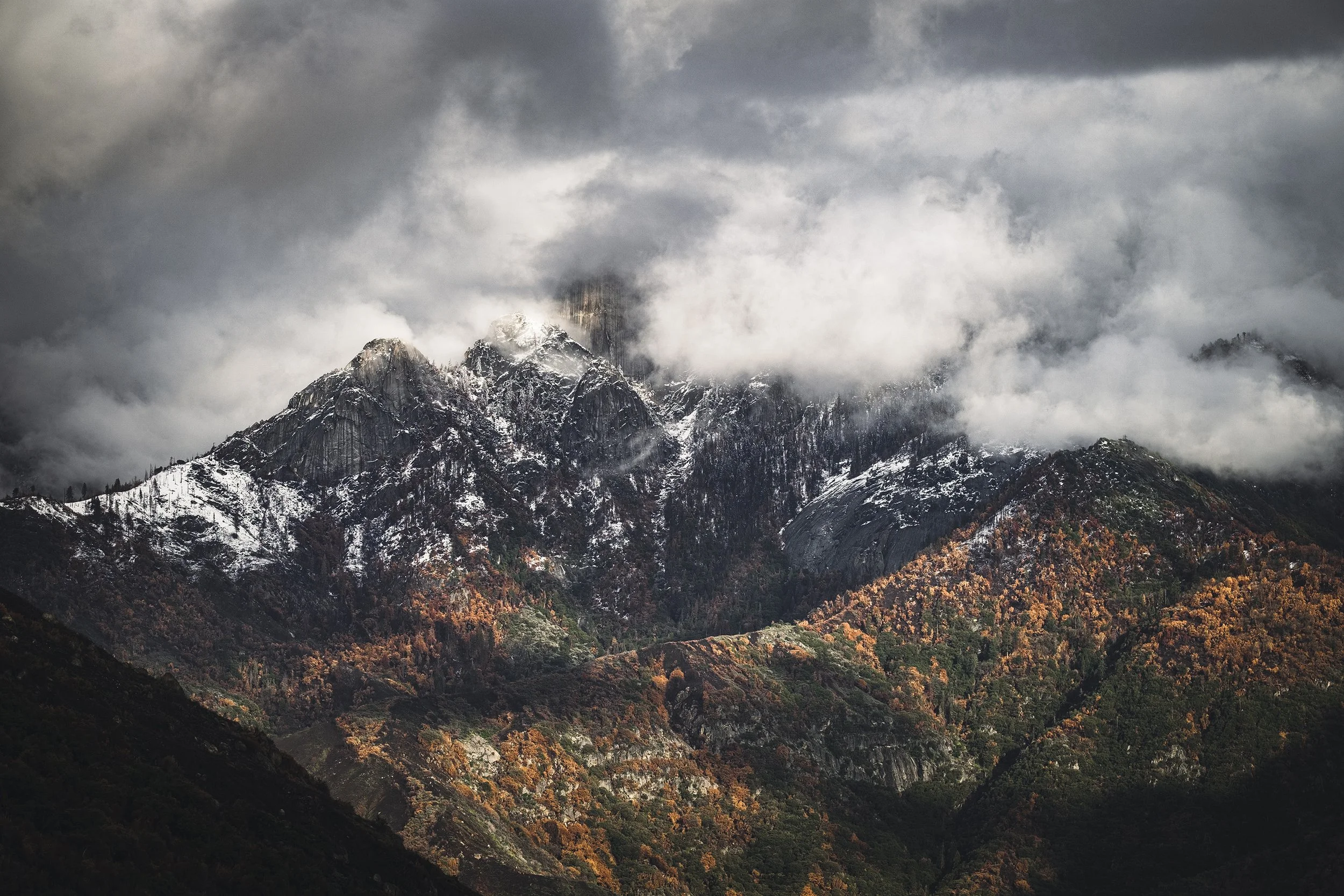 Sequoia National Park — A Cinematic Fine Art Journey Among Giants