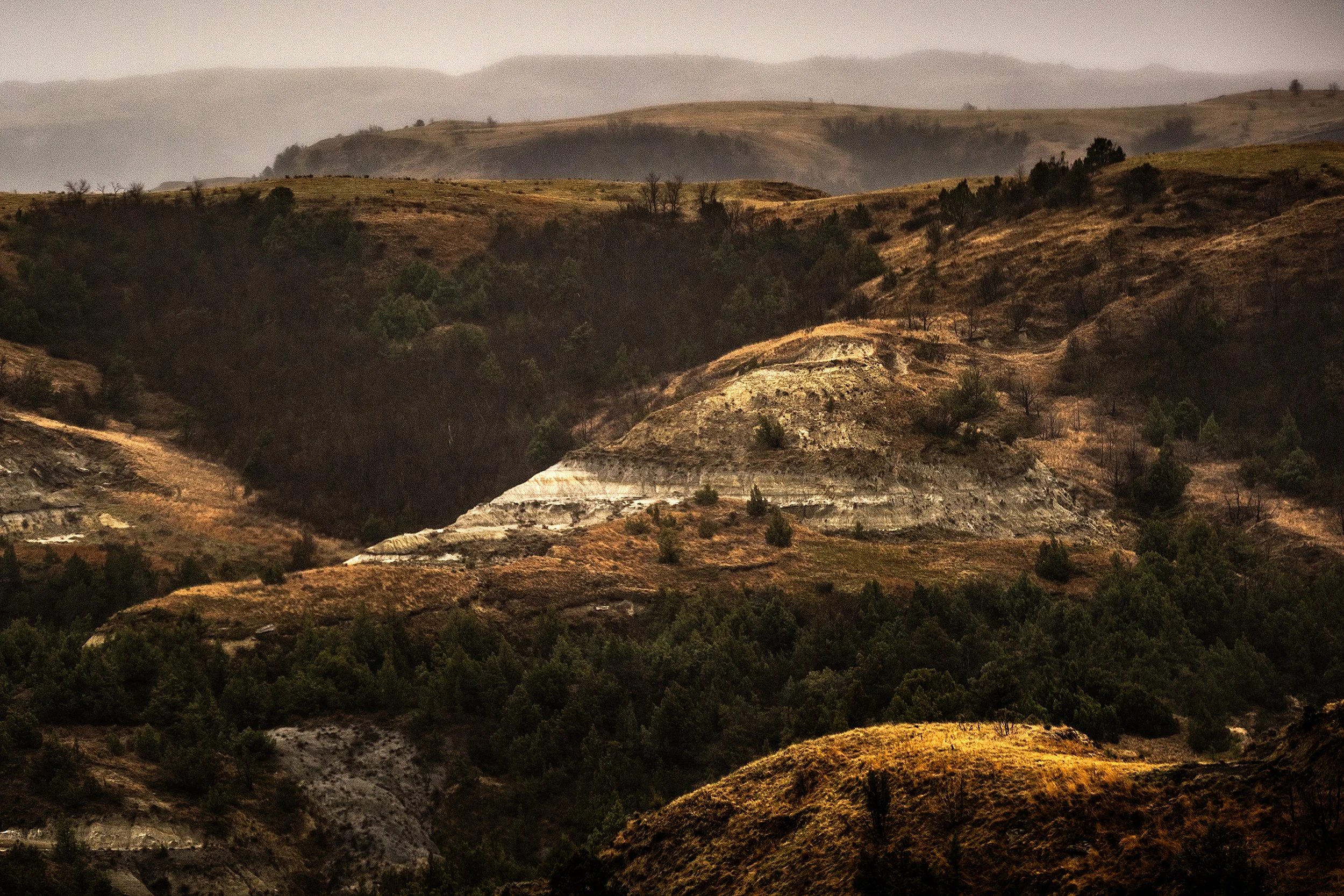 When Winter Returned — A Spring Shift in the North Unit