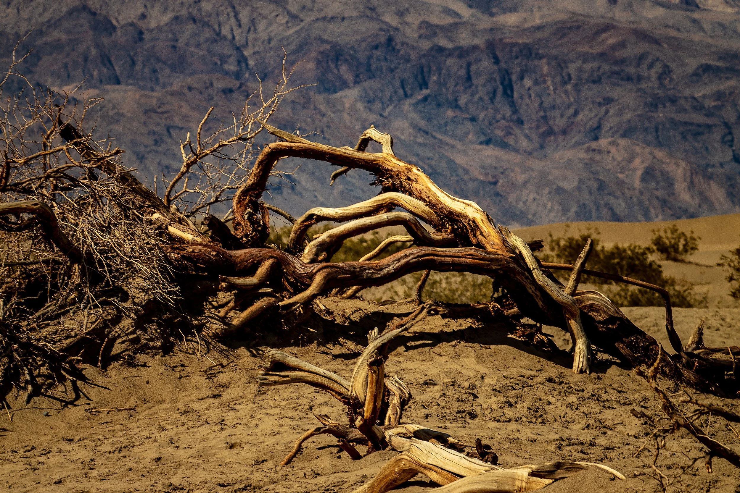 DeathValley-287.jpg