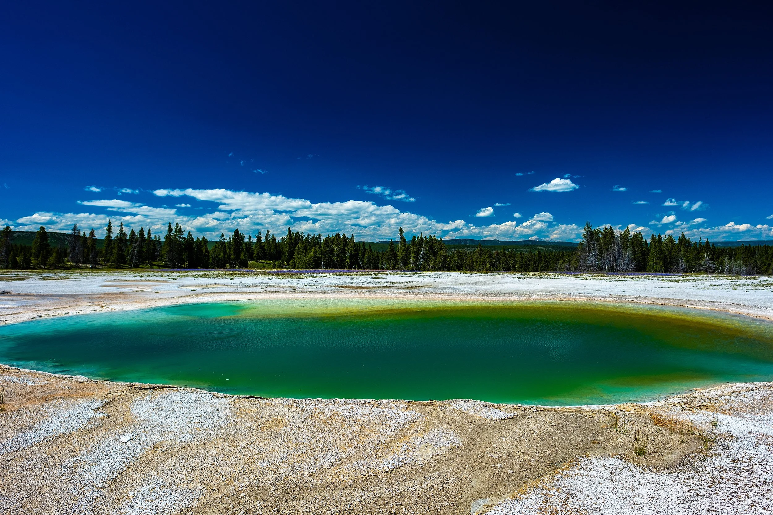 Yellowstonw_July2023-50.jpg