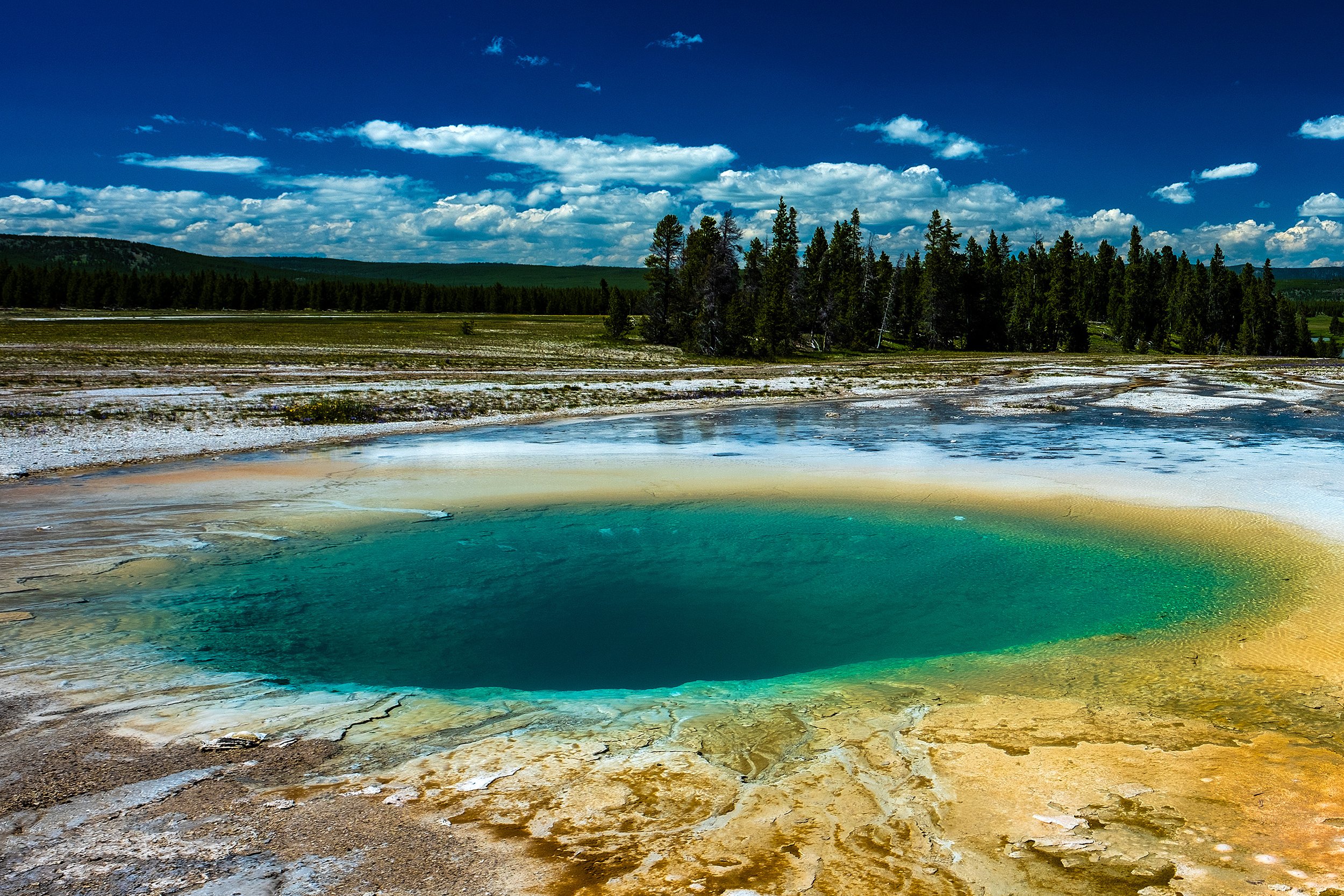 Yellowstonw_July2023-47.jpg