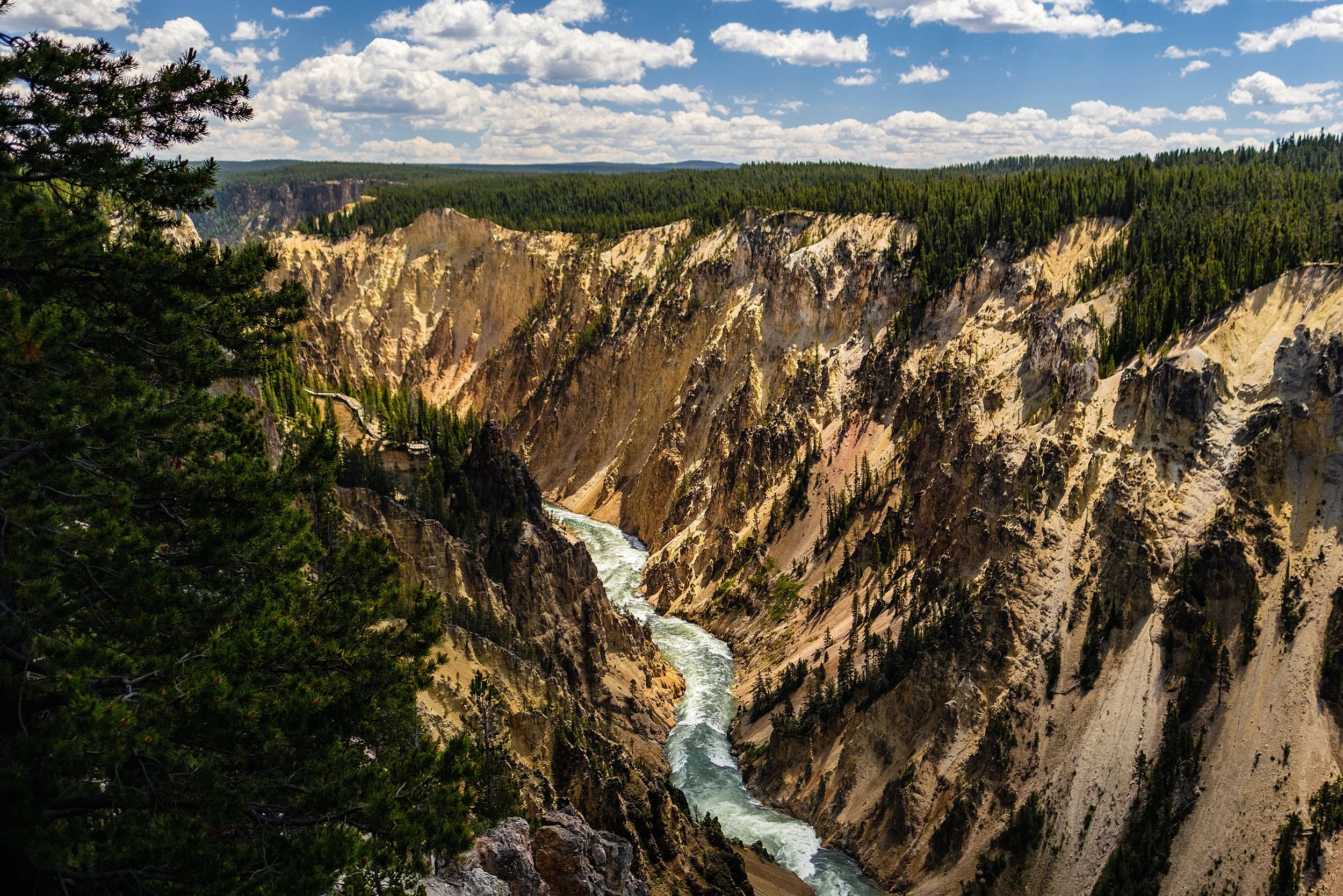 Yellowstonw_July2023-65.jpg