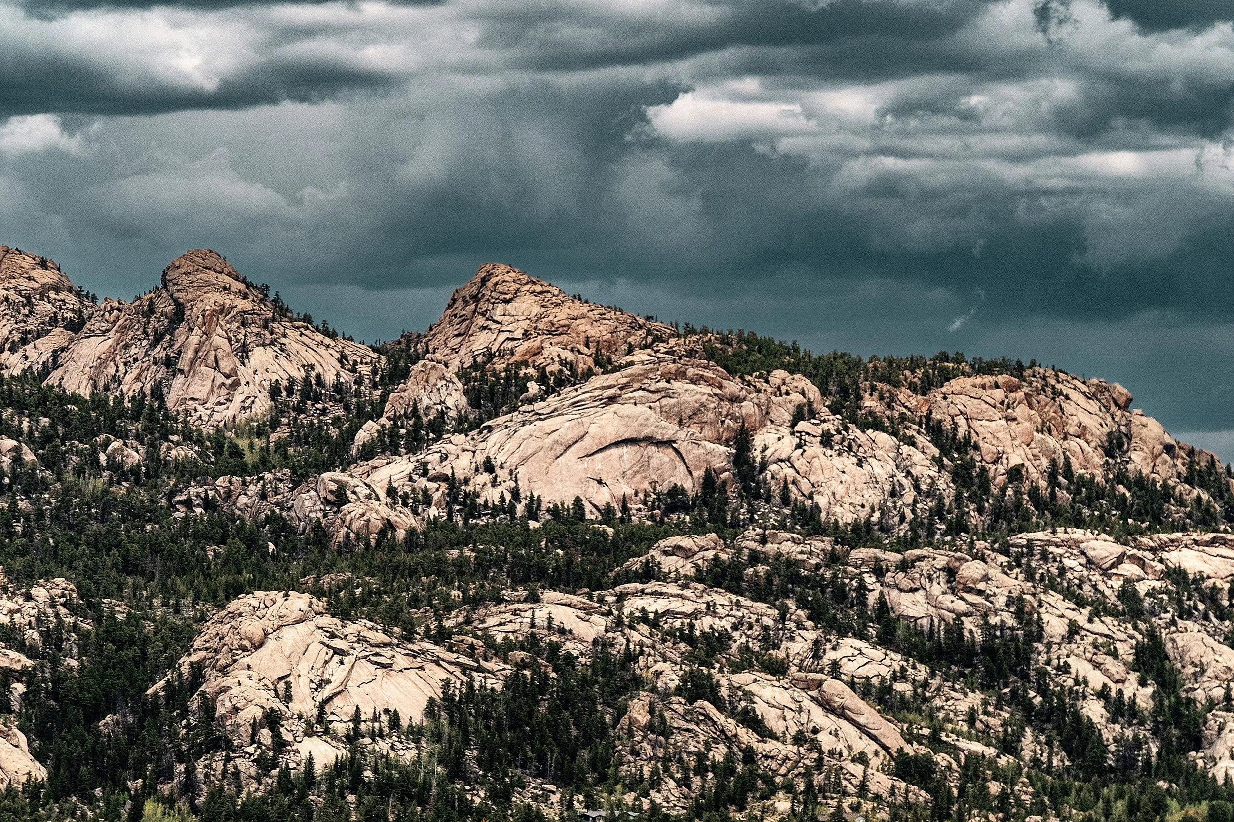 EstesPark-57.jpg