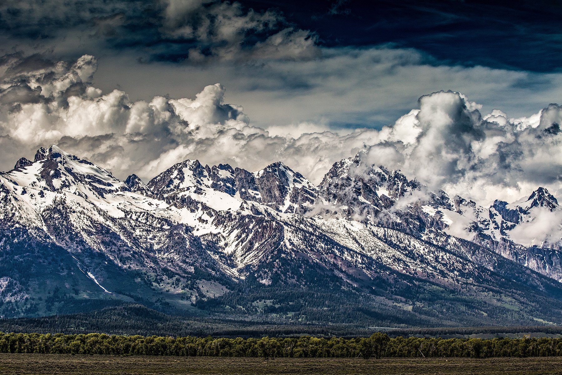 Grand Tetons #1