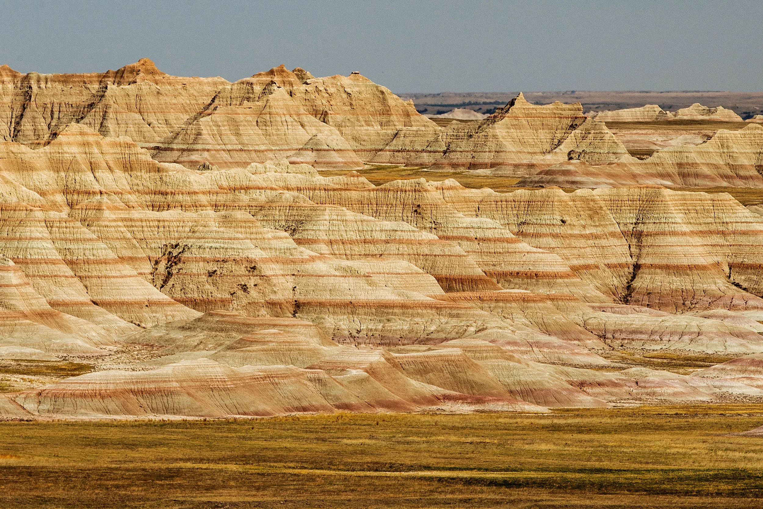 Badlands2026-26.jpg