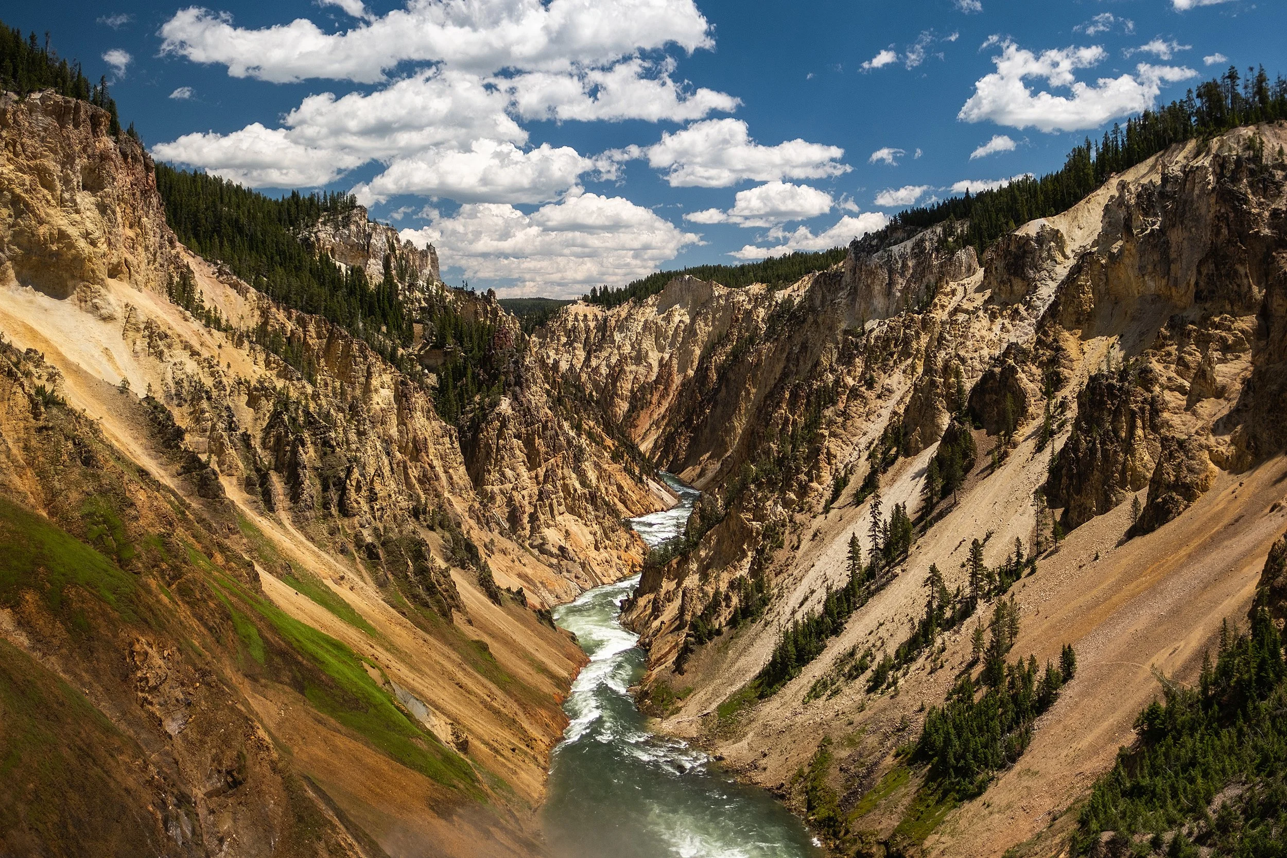 Yellowstonw_July2023-79.jpg