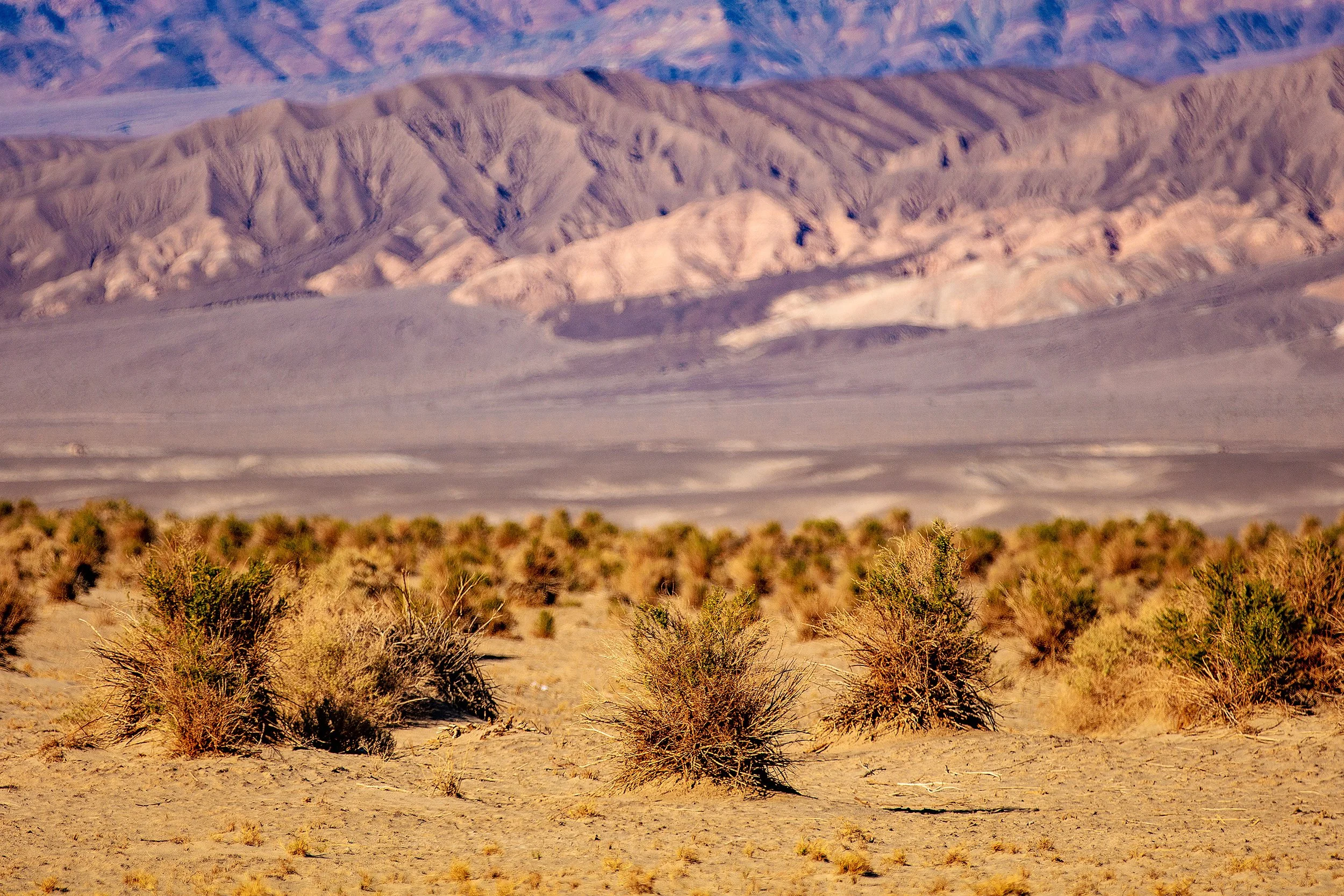 DeathValley-341.jpg