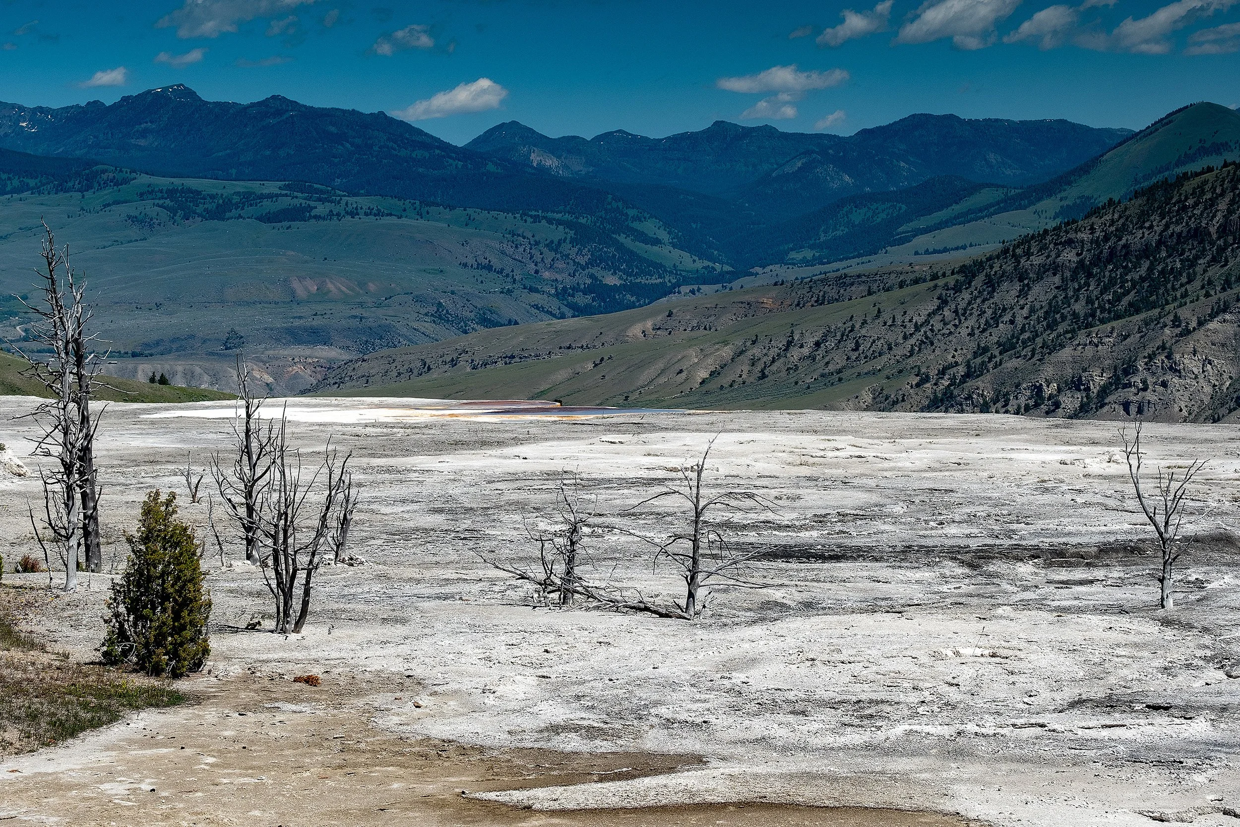 Yellowstonw_July2023-6.jpg