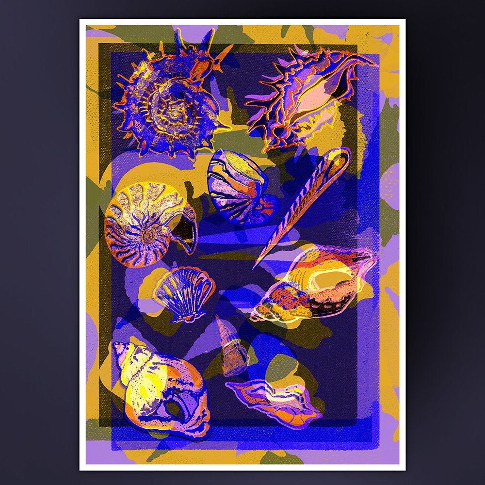 seashells-roos-isabel.jpg