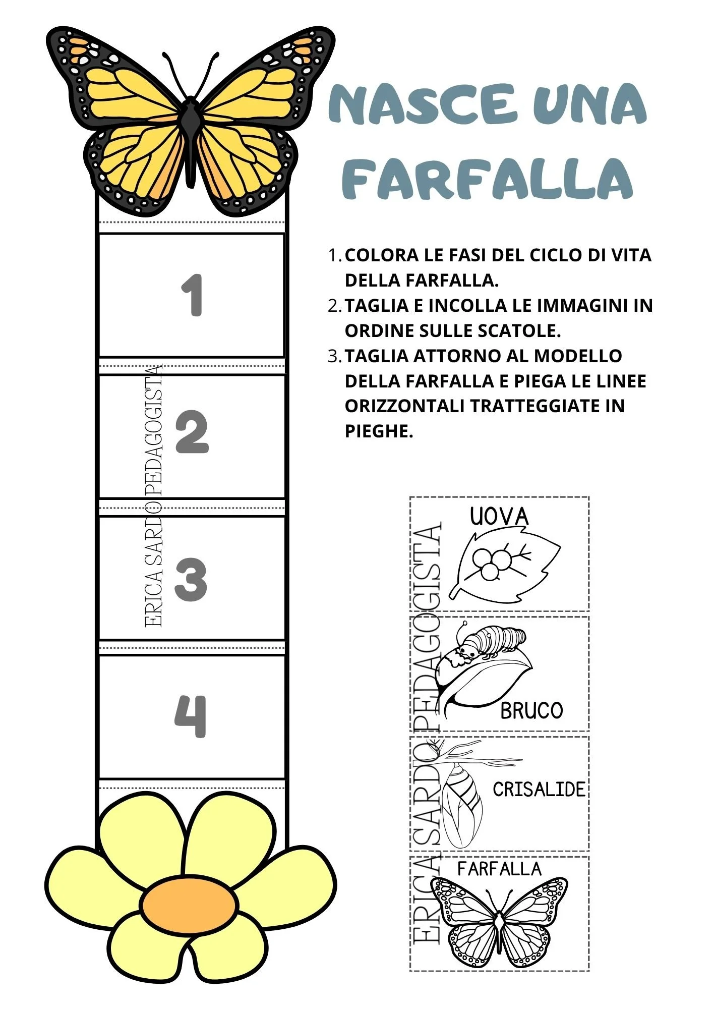 libro attività ritaglio (6).jpg