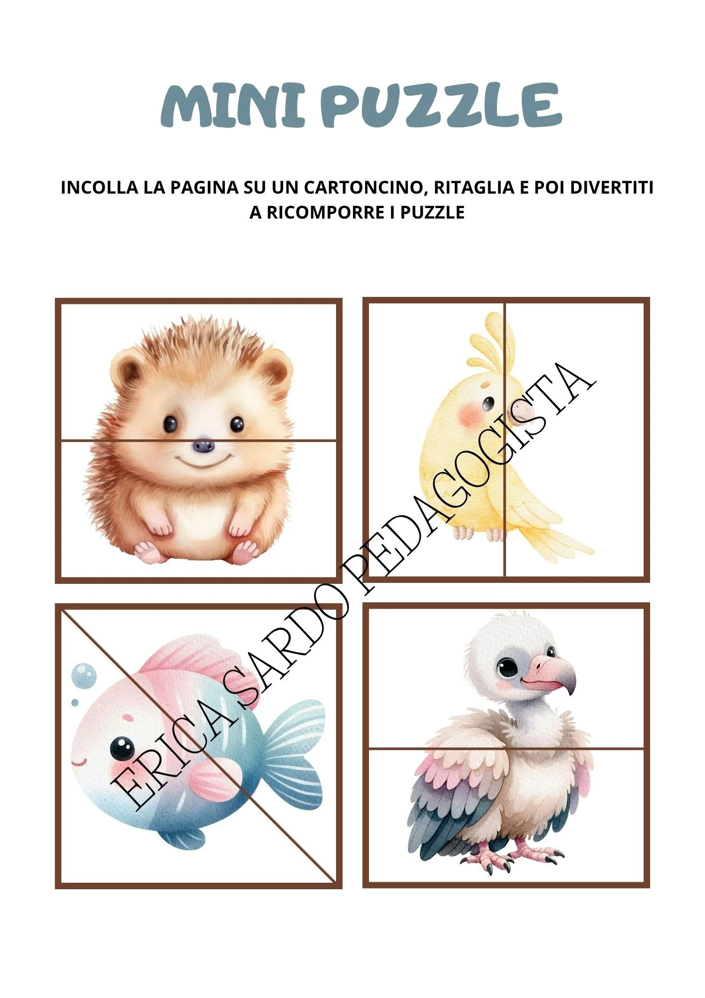 libro attività ritaglio (3).jpg