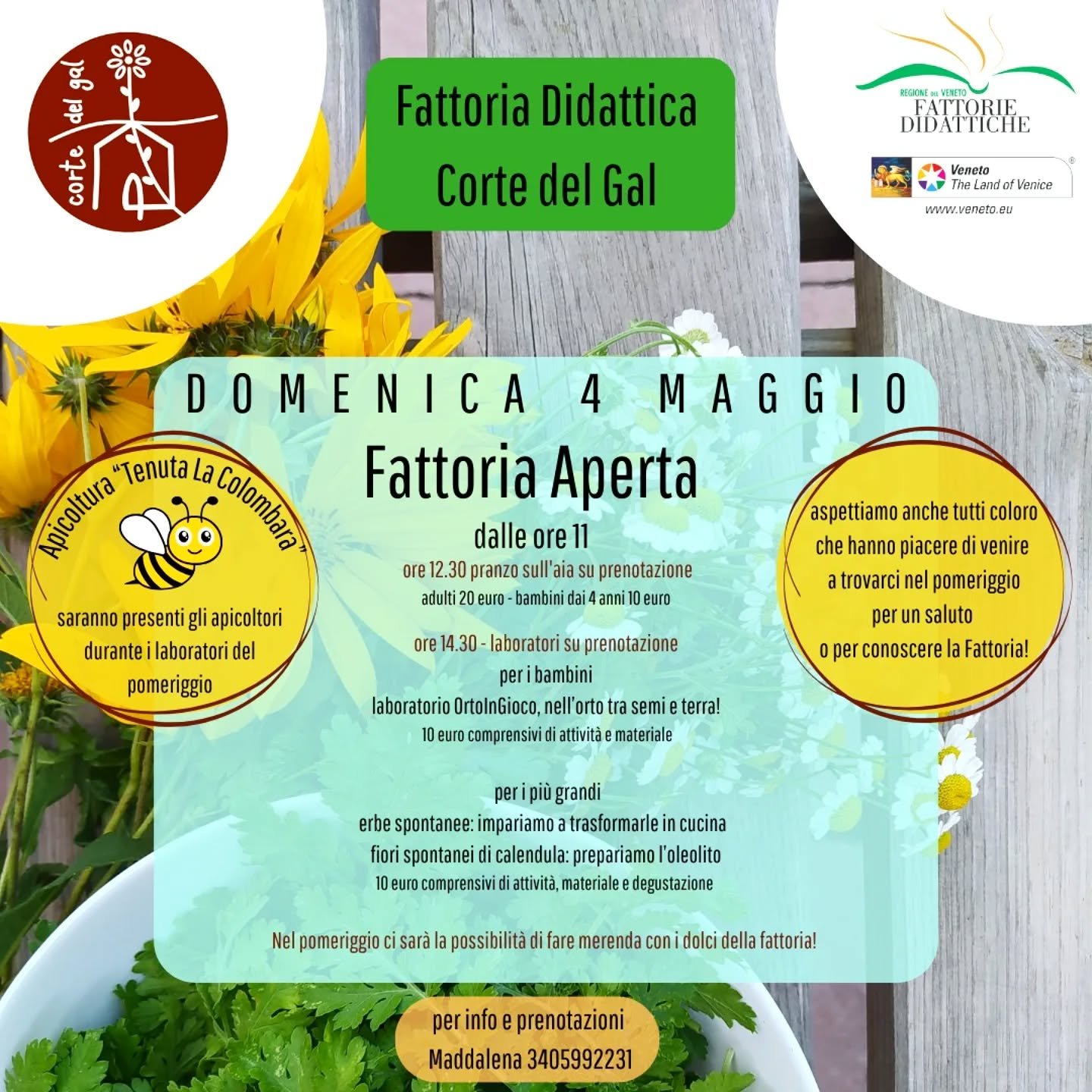 🍀
Finalmente sole!
Finalmente Fattoria Aperta!

Domenica le porte della fattoria saranno aperte per tutti coloro che hanno voglia di venire a trovarci!

Nella locandina trovate tutte le informazioni per la giornata.

E per chi pranzer&agrave; con no