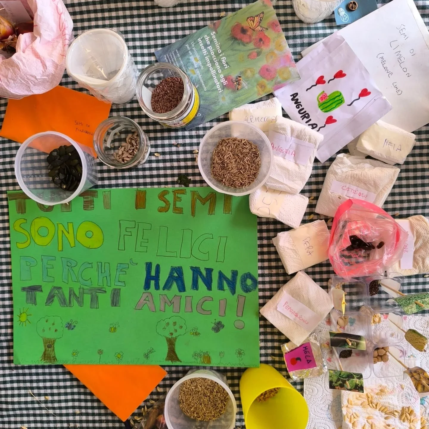 🌱
"Tutti i semi sono felici perch&eacute; hanno tanti amici!"

Grazie Vlada per queste bellissime parole!

Parole arrivate nell'ultimo giorno della scorsa settimana dedicata ai semi.
Li abbiamo cercati, osservati e infine scambiati.
S&igra