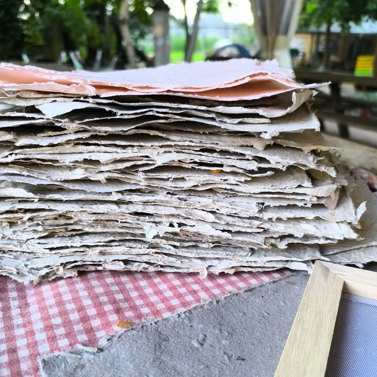 🌱
Ci siamo salutati venerd&igrave; con un foglio di carta fatto da noi tra le mani e ci ritroviamo oggi con un cesto di mele appena raccolte e QuaQua che ci guida verso l'avventura di questa settimana!

#settimaneverdi 
#estateinfattoria 
#naturache