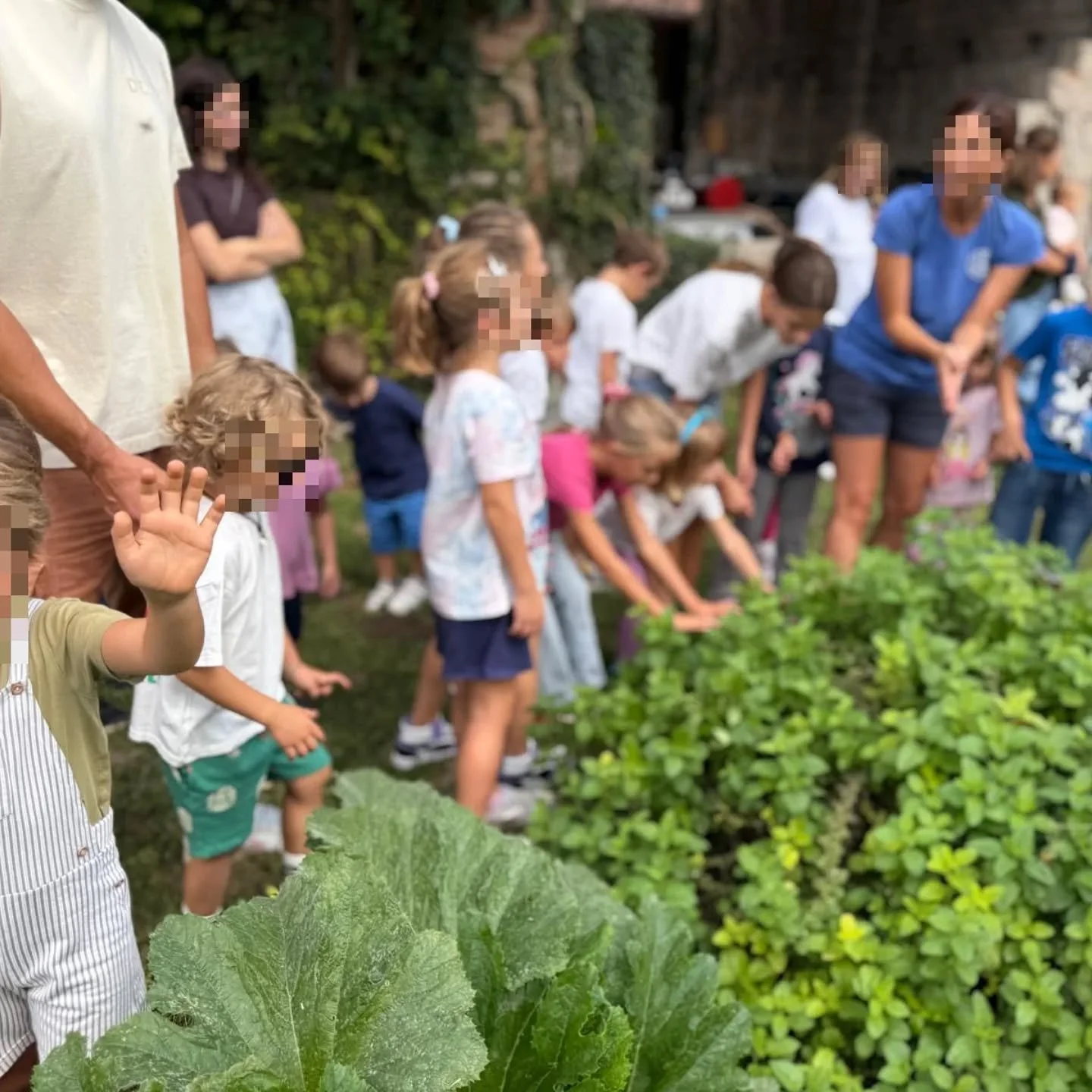 🌳
Scuola, famiglia e fattoria...insieme per iniziare un'avventura lunga un anno.

Un percorso al passo con le stagioni per 
🌱imparare ad osservare la natura
🌱fare del nostro meglio per prendercene cura
🌱 imparare e sperimentare il saper attendere