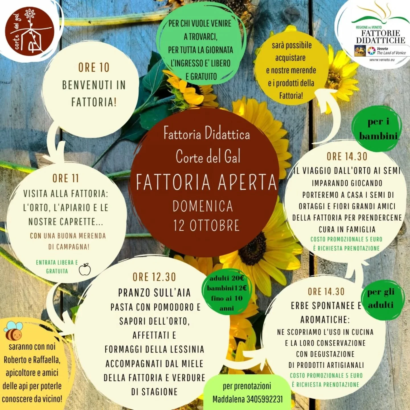 🌻
La nostra Fattoria vi aspetta...e noi assieme a lei perch&eacute; non c'&egrave; nulla di pi&ugrave; bello di poterla condividere assieme a voi.

Vi aspettiamo!

Dedicheremo un angolo della Fattoria agli insegnanti e alla presentazione dei percors