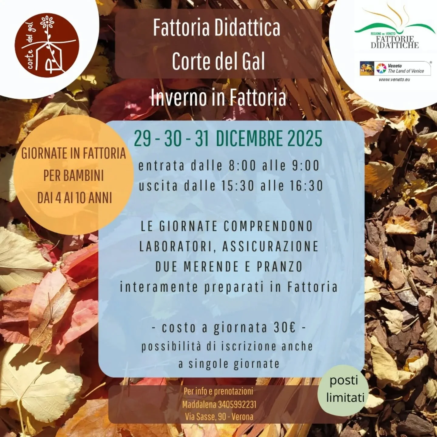 🌻
Giornate in Fattoria!
Vi aspettiamo, bimbi!

#invernoinfattoria 
#giornateinfattoria 
#fattoriadidattica