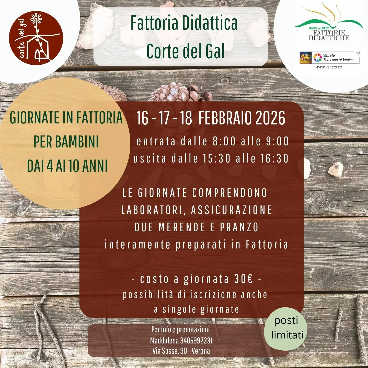 🍀
Le porte della Fattoria sono aperte!

La campagna vi aspetta,
Maddalena🌻

#giornateinfattoria 
#fattoriadidattica 
#campagna 
#fattoriedidatticheveneto