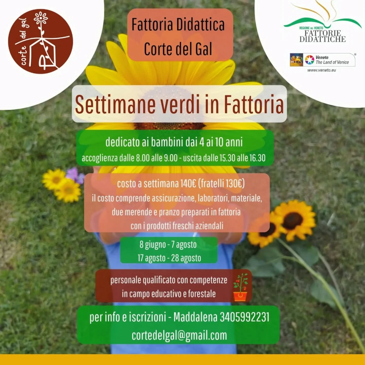 🌻
Le nostre Settimane Verdi in Fattoria!

#estateinfattoria 
#naturacheinsegna 
#campagna 
#bimbiinfattoria 
#fattoriadidattica