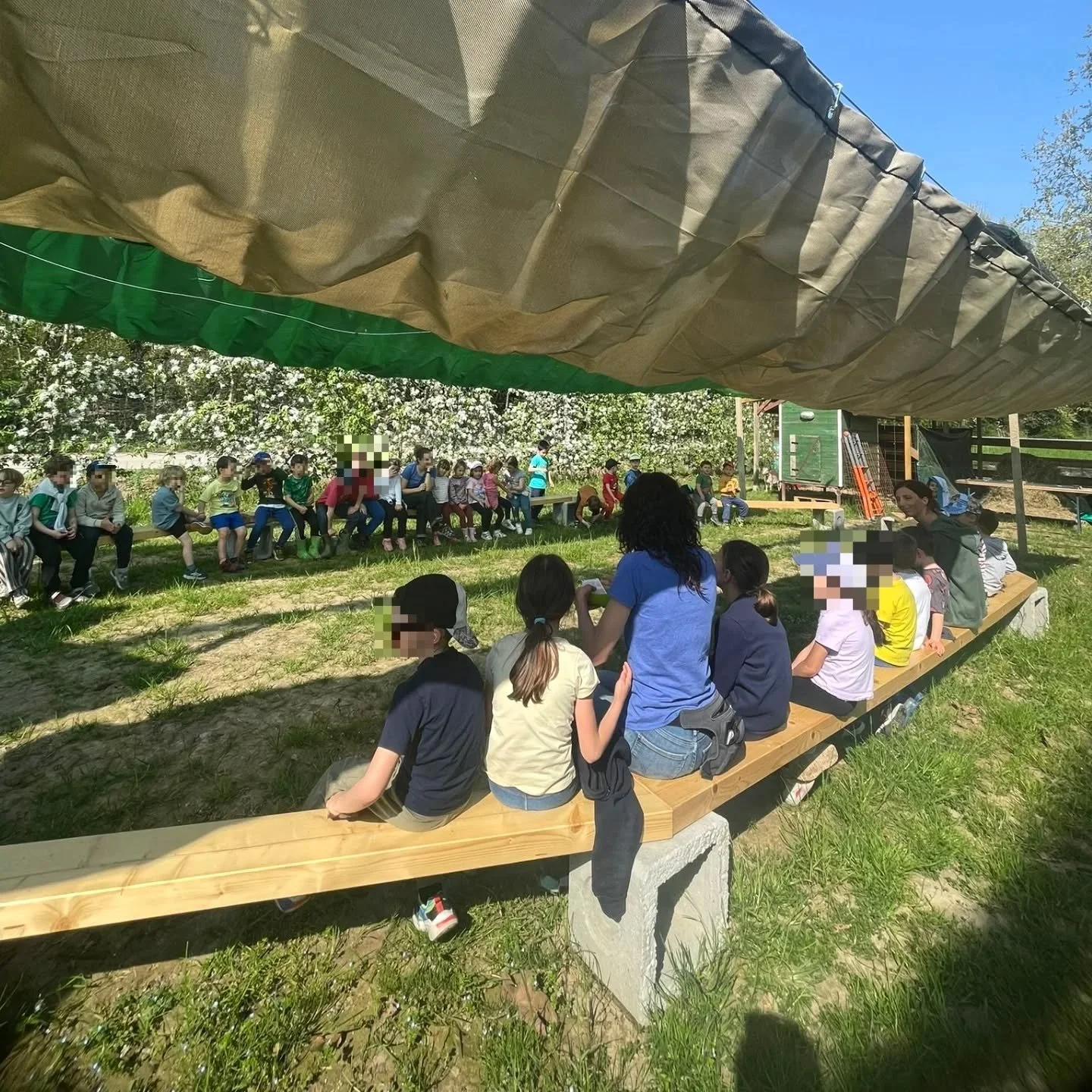 🌻
Con l'arrivo della primavera arriva il tempo giusto per ridare vita al nostro orto.

Abbiamo ricordato che le piante che crescono nell'orto sono molto simili a noi, grandi e piccoli: crescono pi&ugrave; forti e pi&ugrave; felici se hanno vicino pi