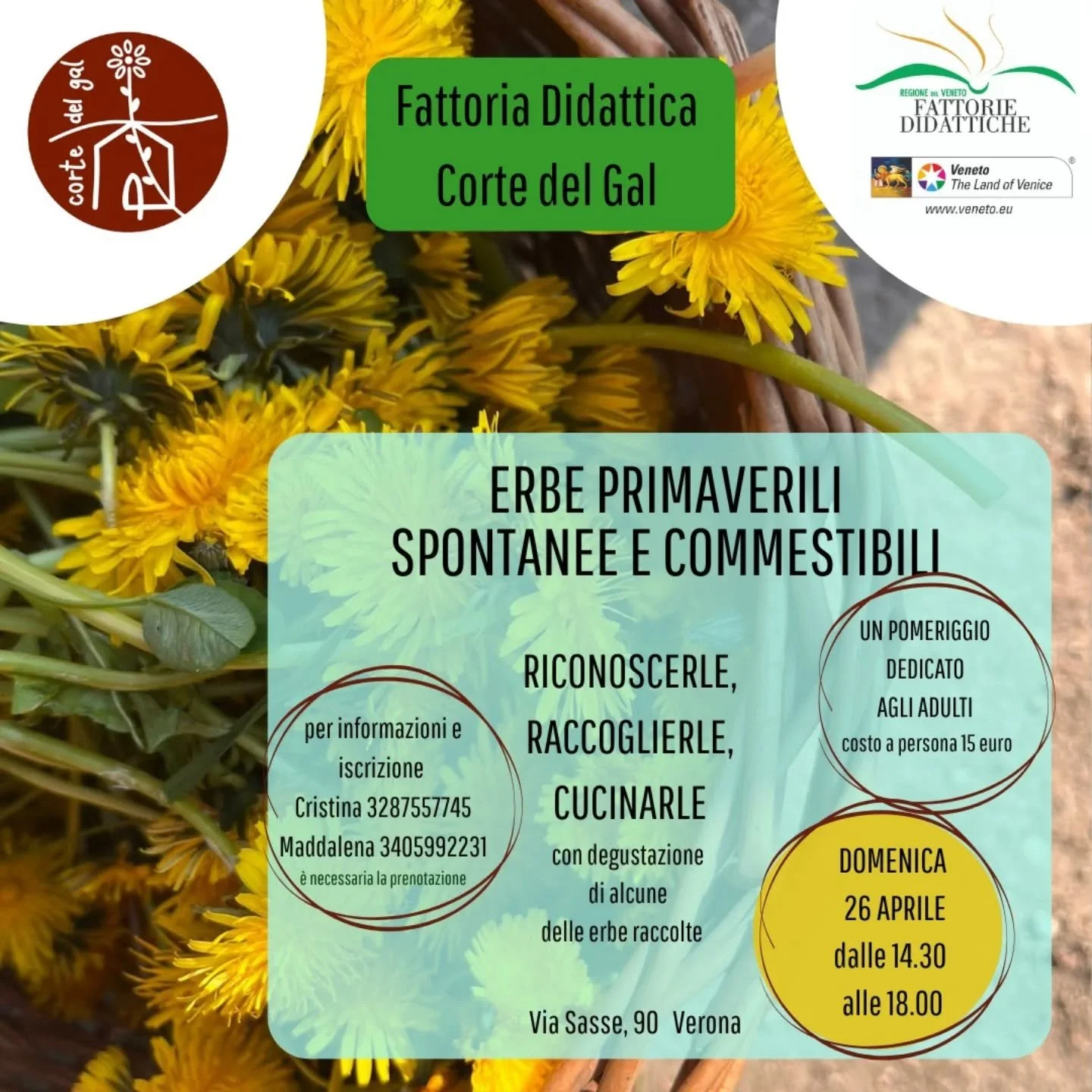 🌱
Un pomeriggio in Fattoria dedicato alle erbe primaverili spontanee e commestibili.

Un pomeriggio nel quale impareremo a riconoscere. 

Le raccoglieremo per poi lasciare spazio ai sapori...degusteremo alcune delle erbe raccolte.

Un pomeriggio ded