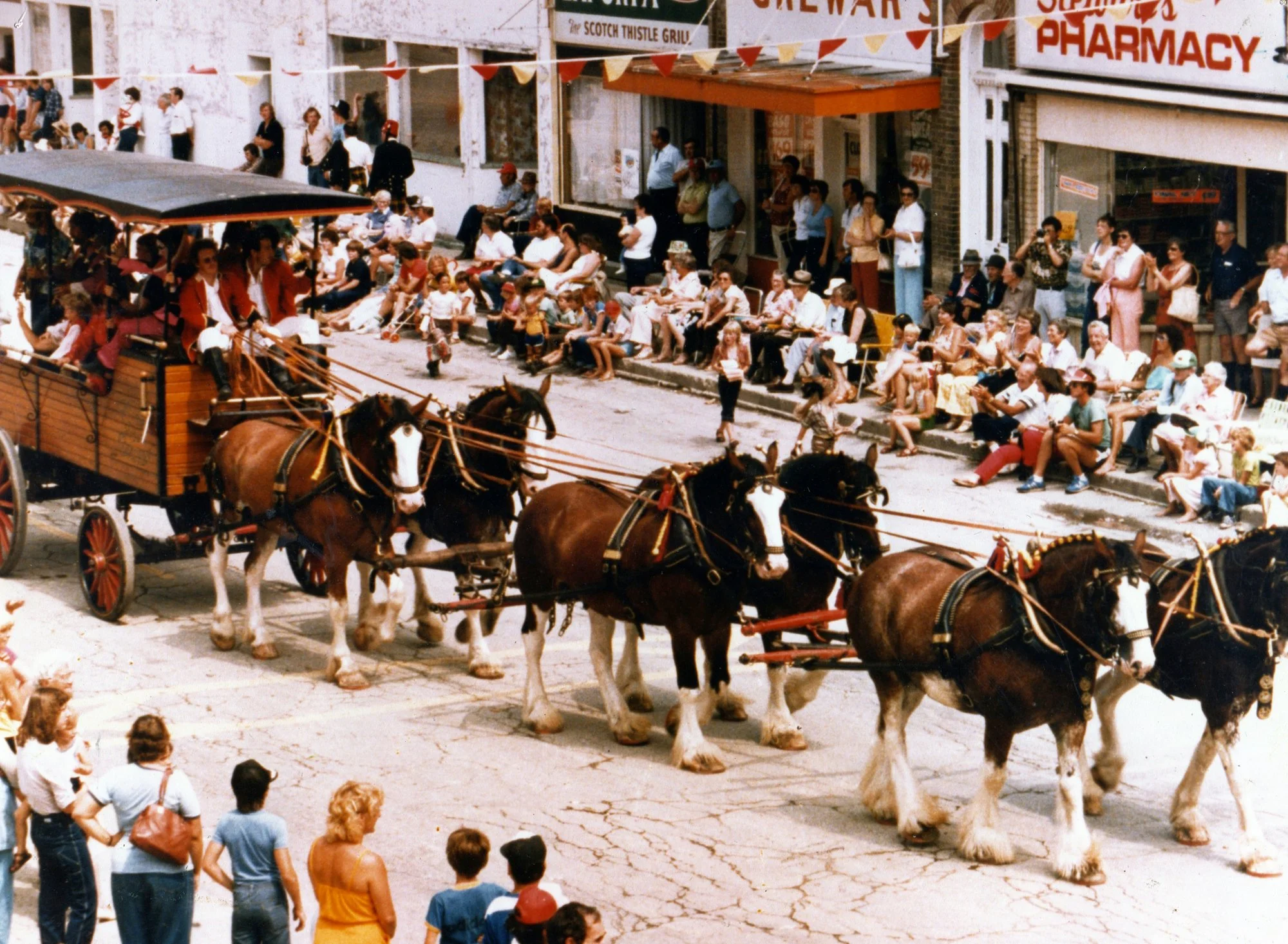 Clydesdale horses pull a wagon into town
