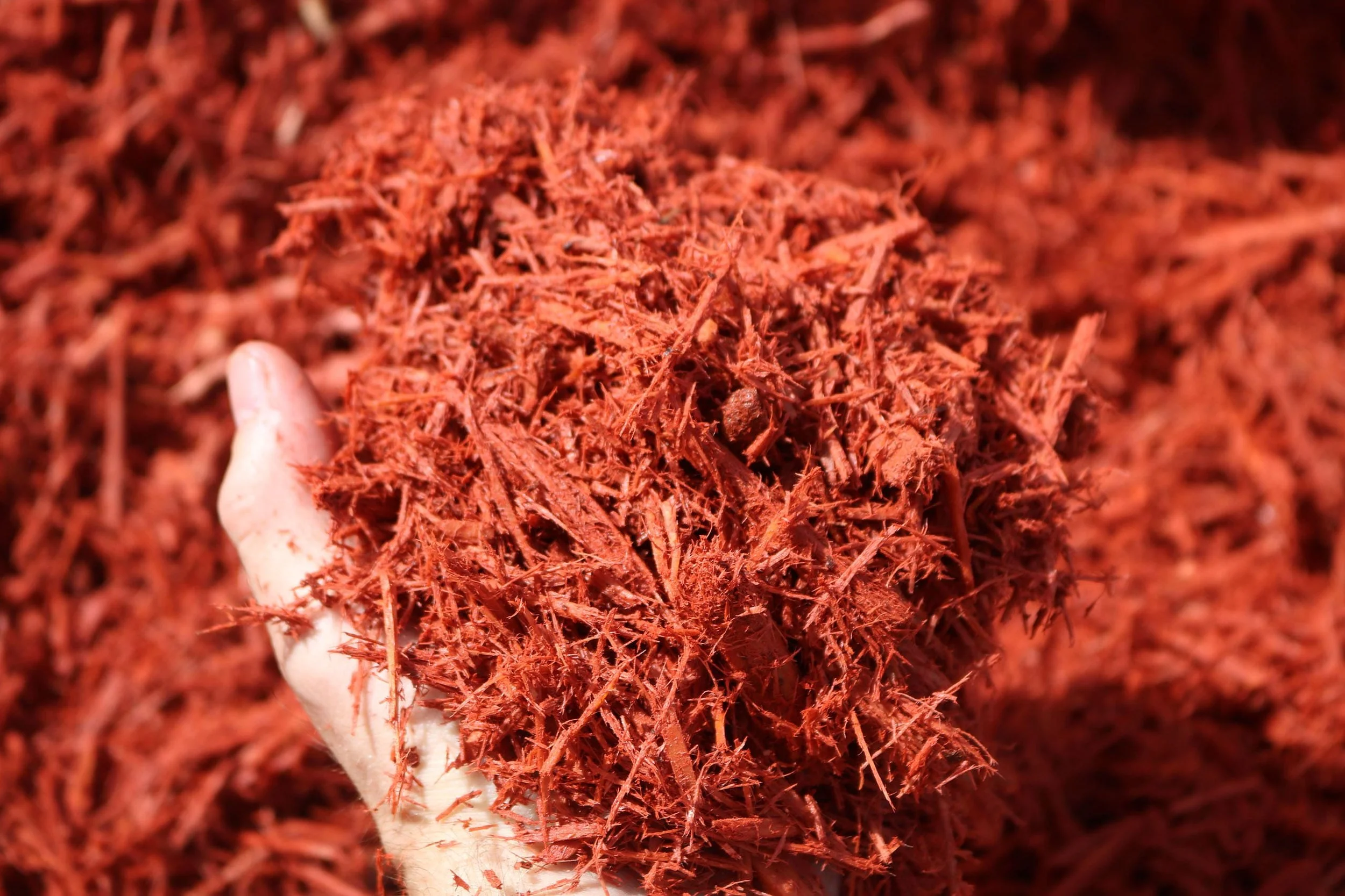 colored-platinum-mulch-red2.jpg